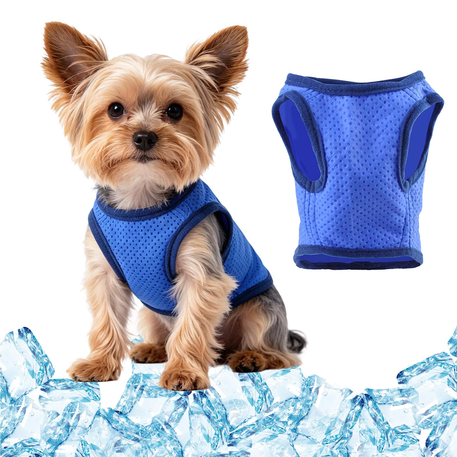 Kühlweste Hund, Blau Kühlende Hundejacke Licht Atmungsaktiver, Sommer Cool Bequem Hunde Kühlweste für Kleine Hunde Aktivitäten Draußen Wandern Training, S