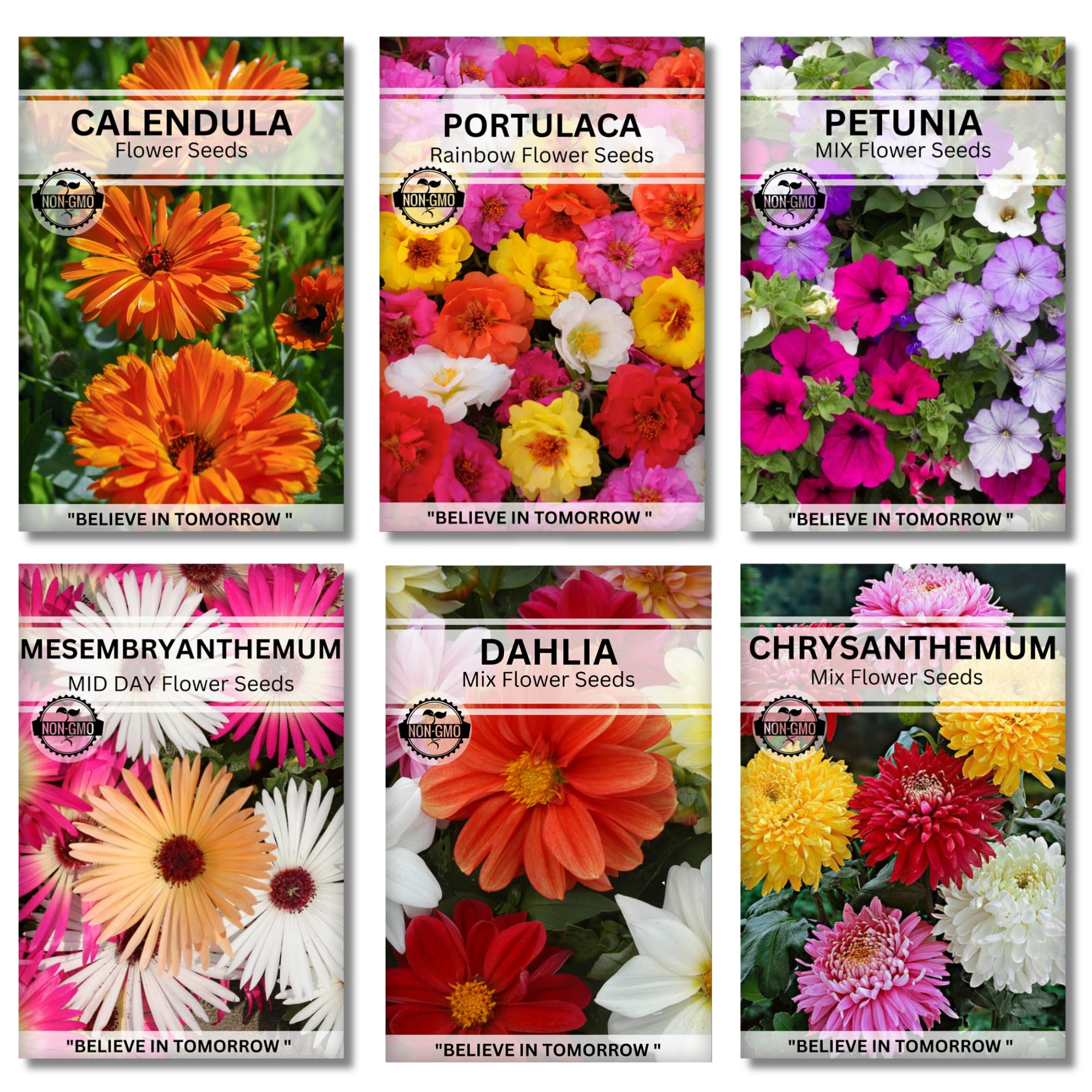 Navika Seeds ; Grow with Us Flower Seeds Combo For Home Gardening | 6 Packet Flowers | Easy To Grow | Calendula, Portulaca, Mesembryanthemum (Ice Plant), Dahlia And Chrysthanium For Home Gardening. (B0CPM8TSSZ) Amazon Price History, Amazon Price Tracker