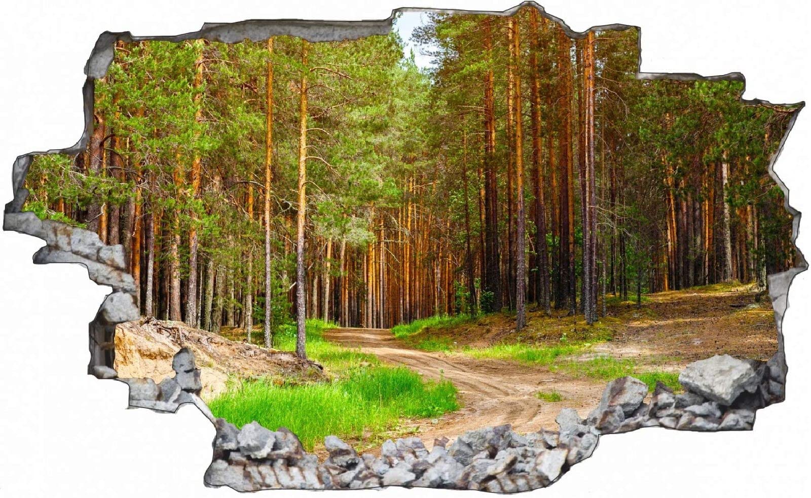 Sztuka ścienna naklejki 3D natura krajobraz efekt specjalny widok na zewnątrz pęknięta ściana dekoracyjne usuwalne zrób to sam winylowe naklejki ścienne salon, sypialnia mural 75 x 113 cm