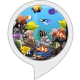 FischAquarium
