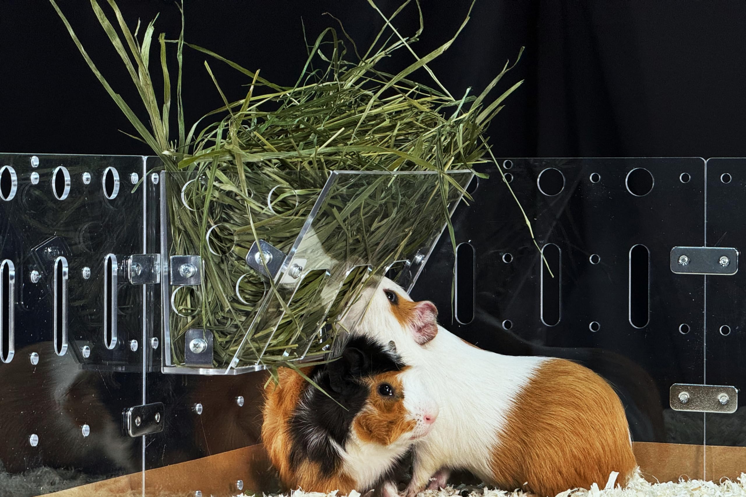 GuineaLoft™ Hay Feeder - The Ultimate Hay Feeder for Small Pets Like Guinea Pigs, Rabbits and Chinchillas. Designed & Made by Seasoned Owners Who Tried Everything Out There - Guinea Loft Exclusive
