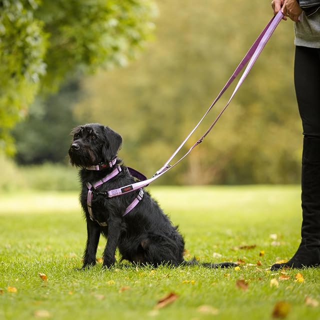 Foto 2 de 4 de Arnés para caminar HALTI - Arnés Anti tirones Ligero para Perros con Asa, Reflectante y Ajustable, ideal…