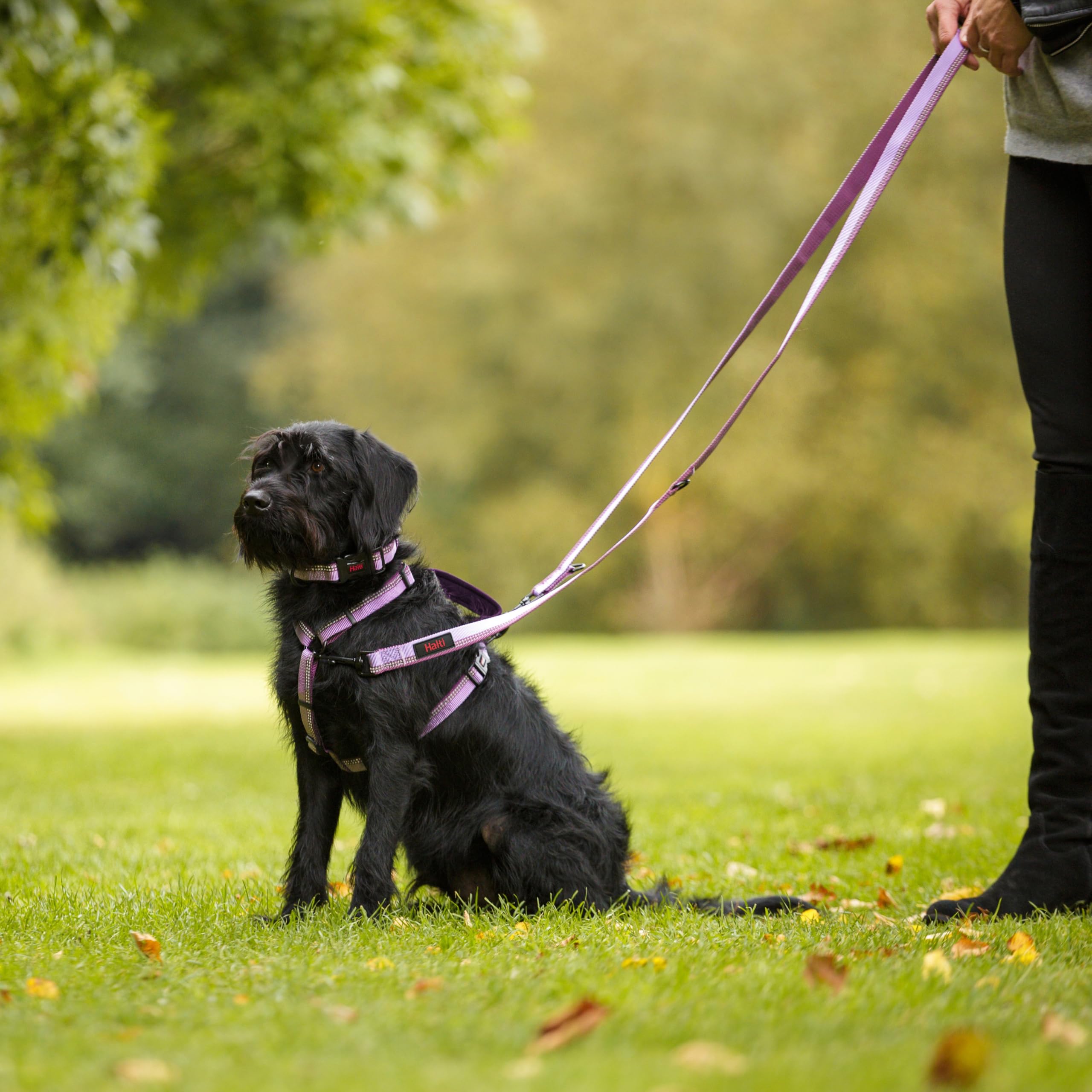 Arnés para caminar HALTI - Arnés Anti tirones Ligero para Perros con Asa, Reflectante y Ajustable, ideal para Adiestramiento Canino. Apto para Perros Grandes (Talla L, Morado)