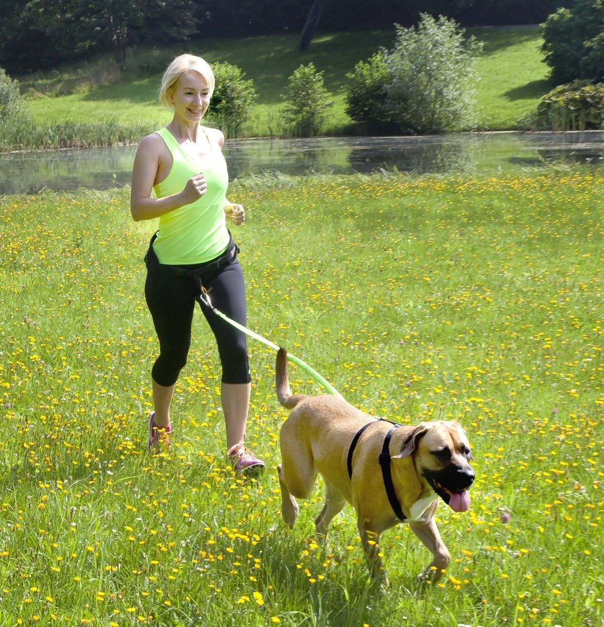 DINGO Canicross Belt 4-in-1 Universal, Adjustable,...