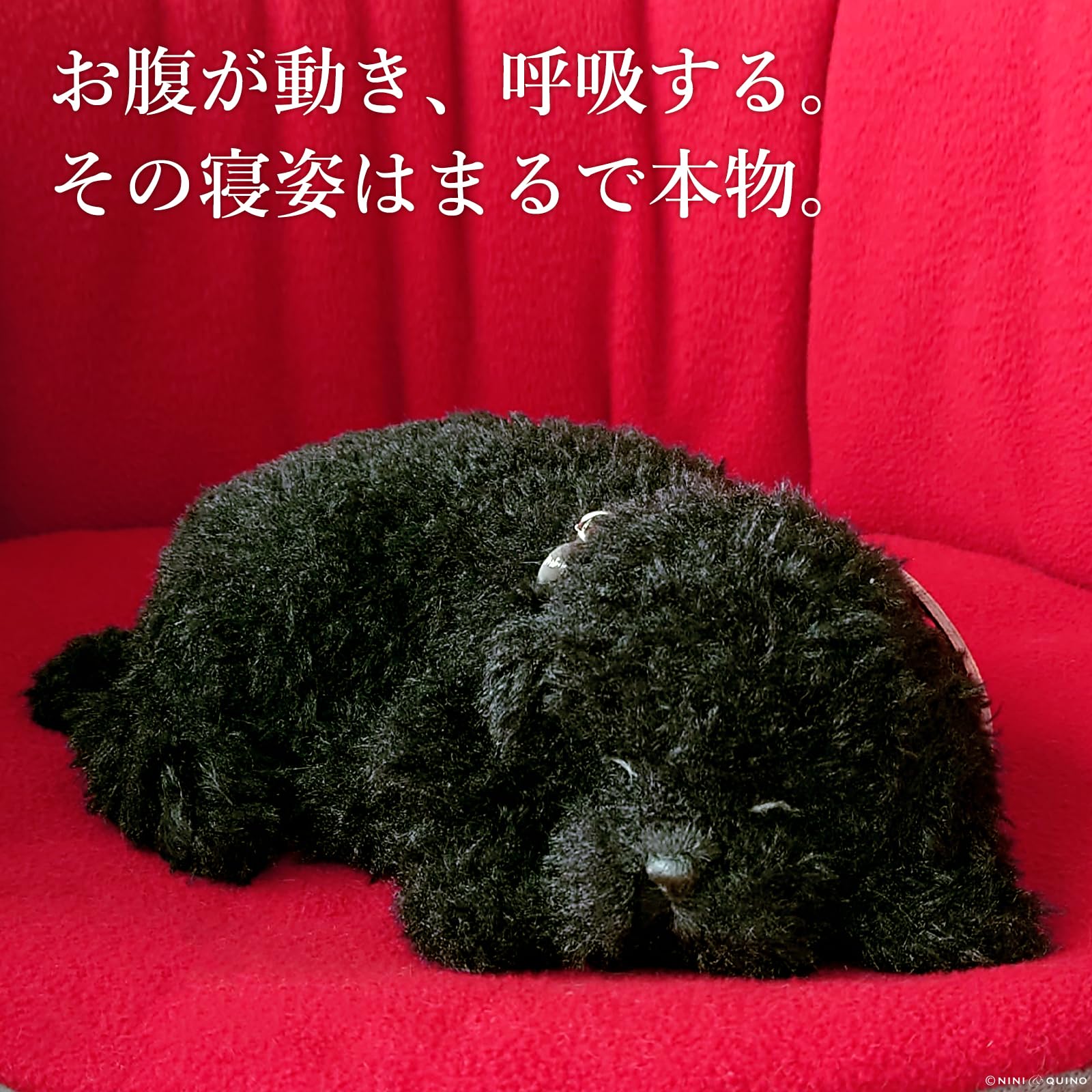 Amazon.co.jp: ニニアンドキノ パーフェクトペット (小サイズ) トイ