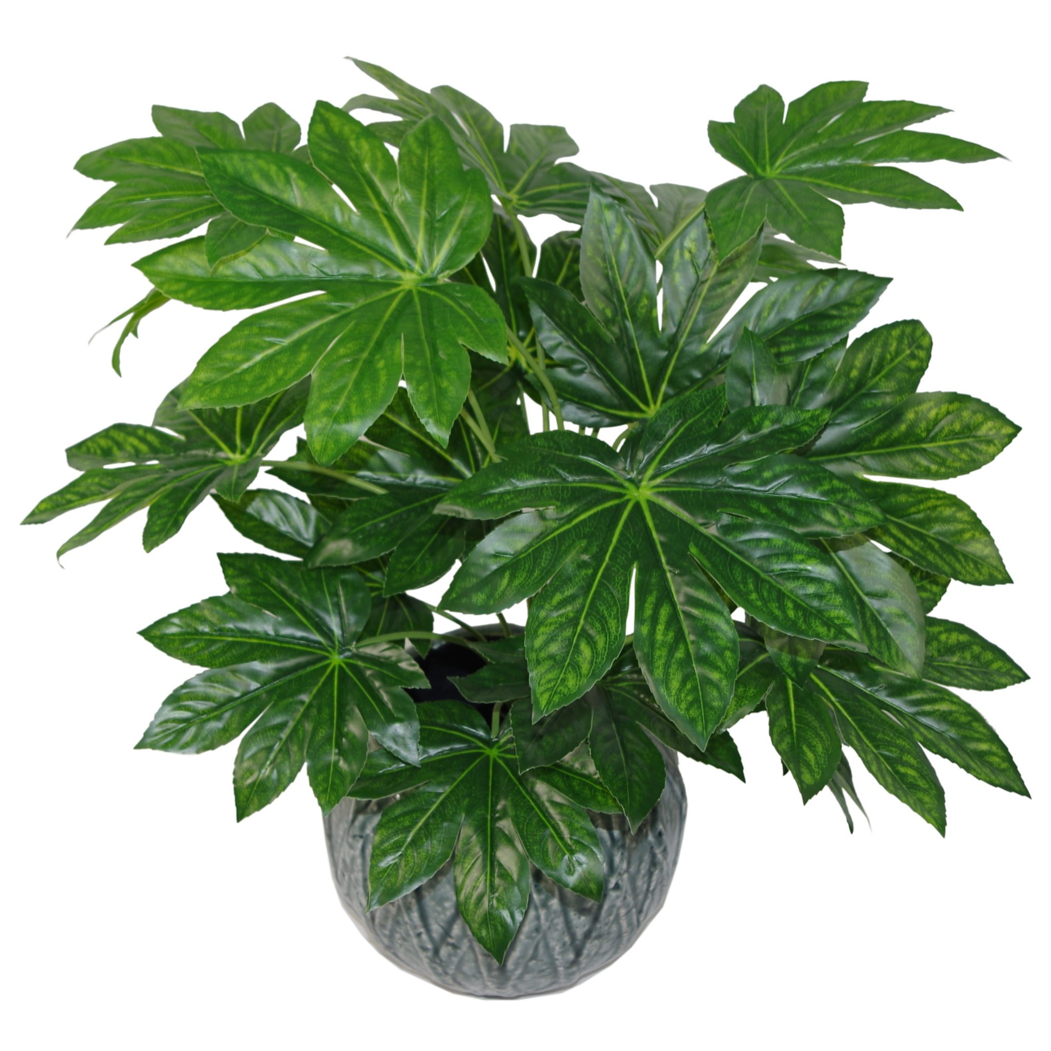 Leaf Design Uk Limited 60Cm Low Maintenance Indoor Japanese Aralia Artificial Plant - Lush Foliage Decor | Wowcher