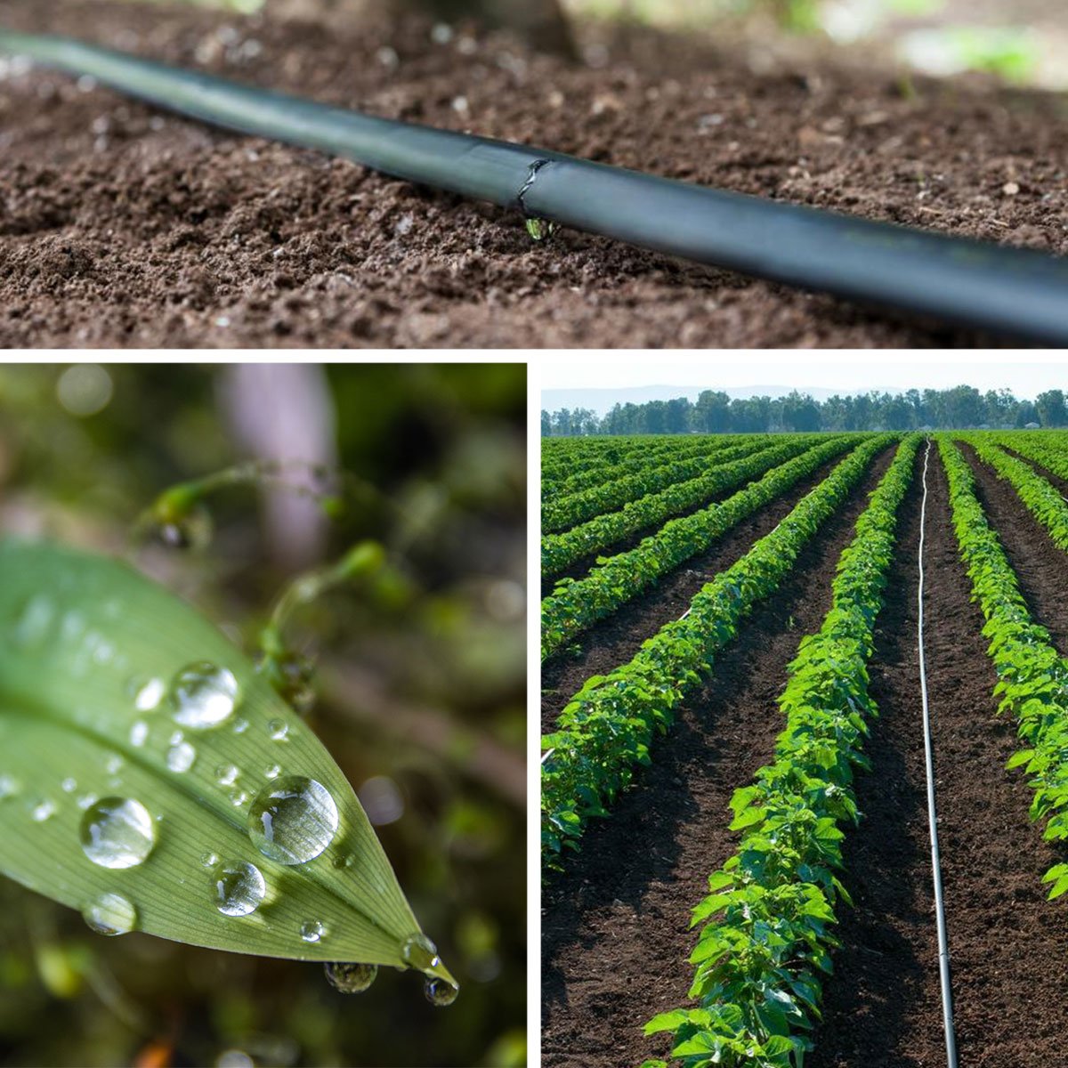 HOLZBRINK Tuyau Goutte à Goutte 5/8" 16 mm Irrigation du Sol avec Régulation de Pression Tuyau d'Arrosage Autonettoyant, Profi, 100 m, HTS01-P