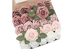 Floroom Dusty Rose Party Decorations