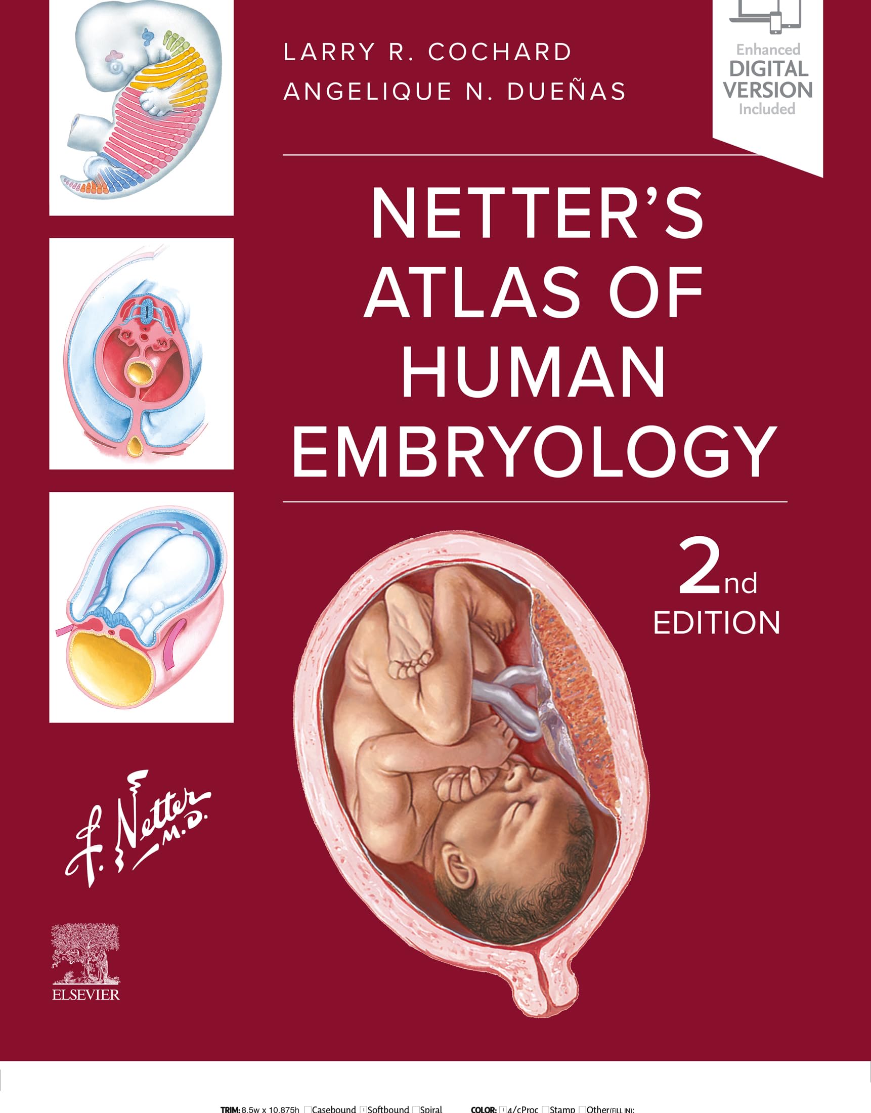 Netter's Atlas of Human Embryology - E-BOOK (Netter Basic Science) (English Edition)