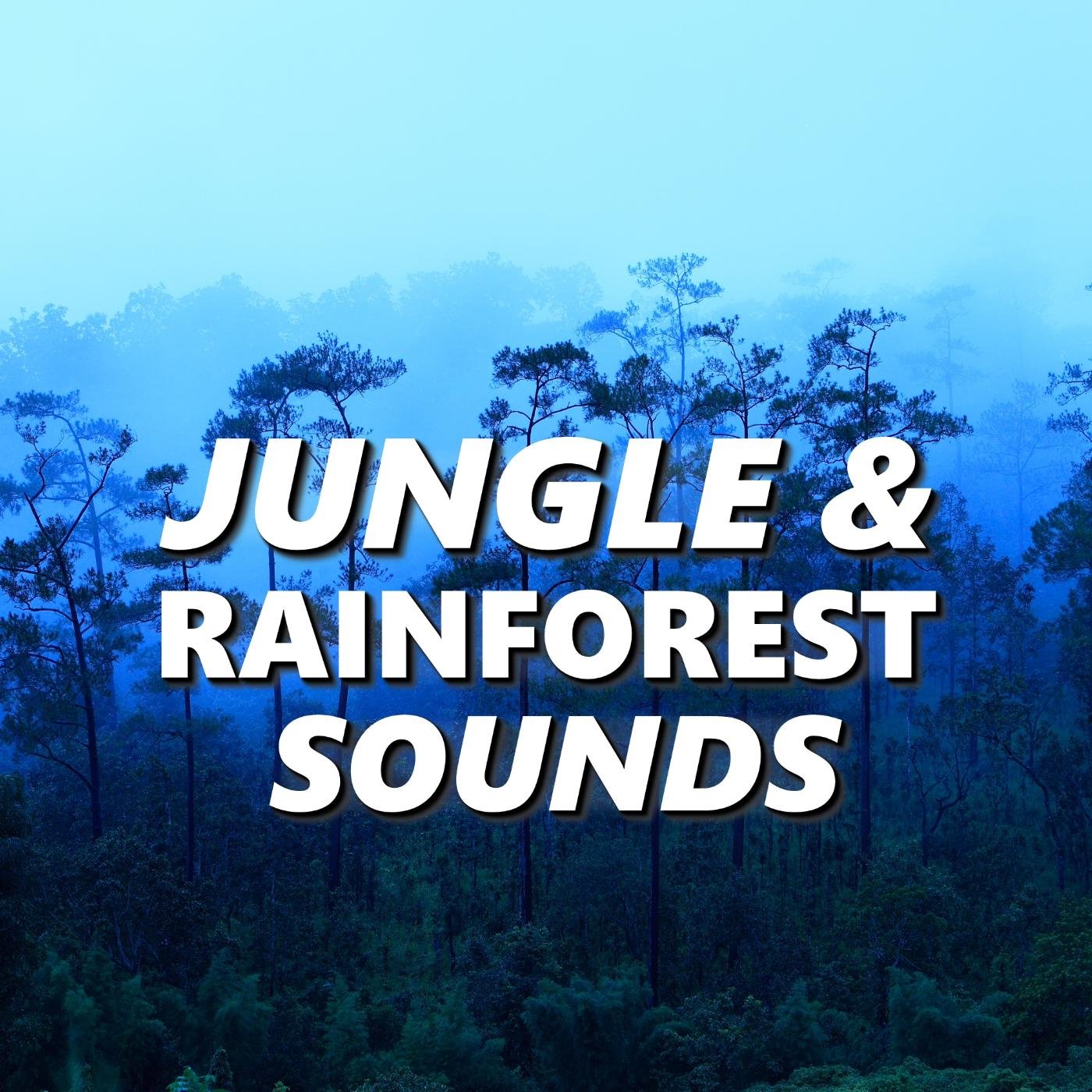 Jungle & Rainforest Sounds