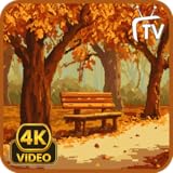 Relaxing Screensaver TV - Relaxing Music & Sleep