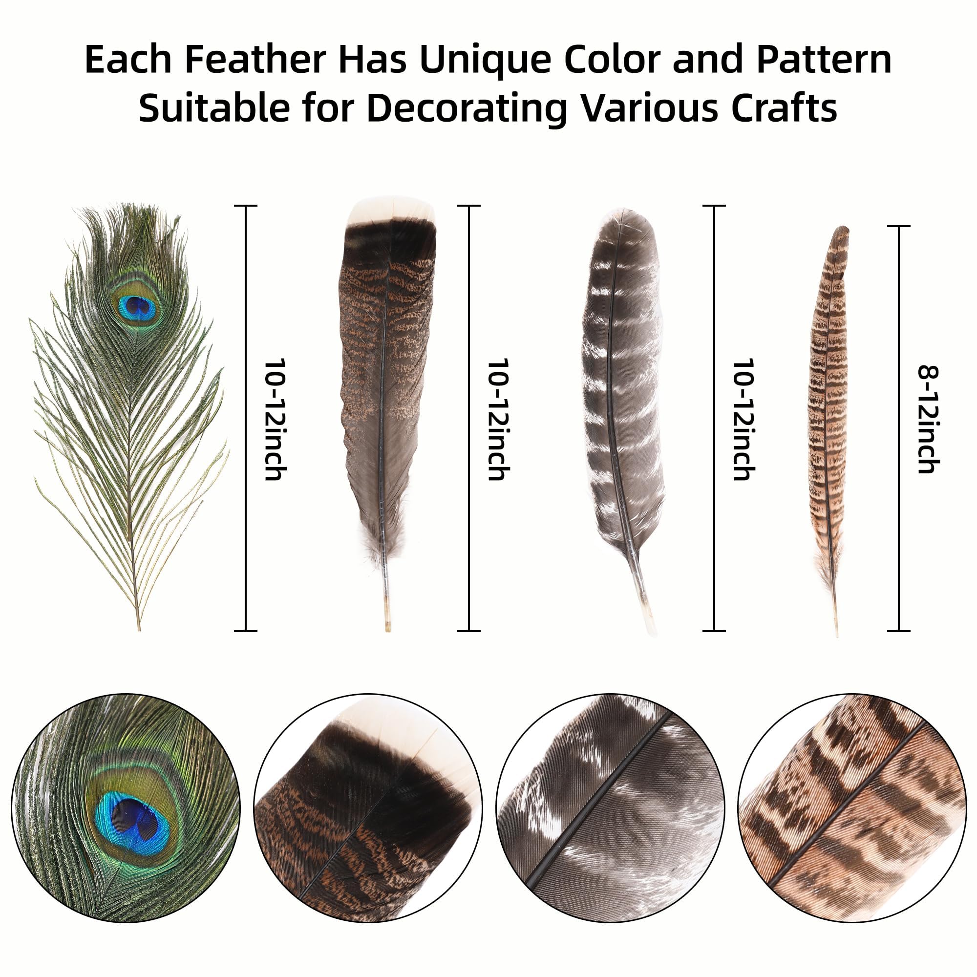 Amazon.com: Ballinger Large Natural Pheasant Feathers - 8-12inch 4