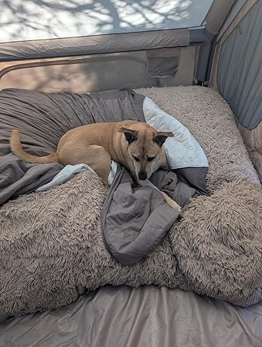 Review Image by Do not waste your money on this product. It is most chintziest piece of junk. These people should be labeled as a fraud. It's not even a vest. It's like a g string for your dog