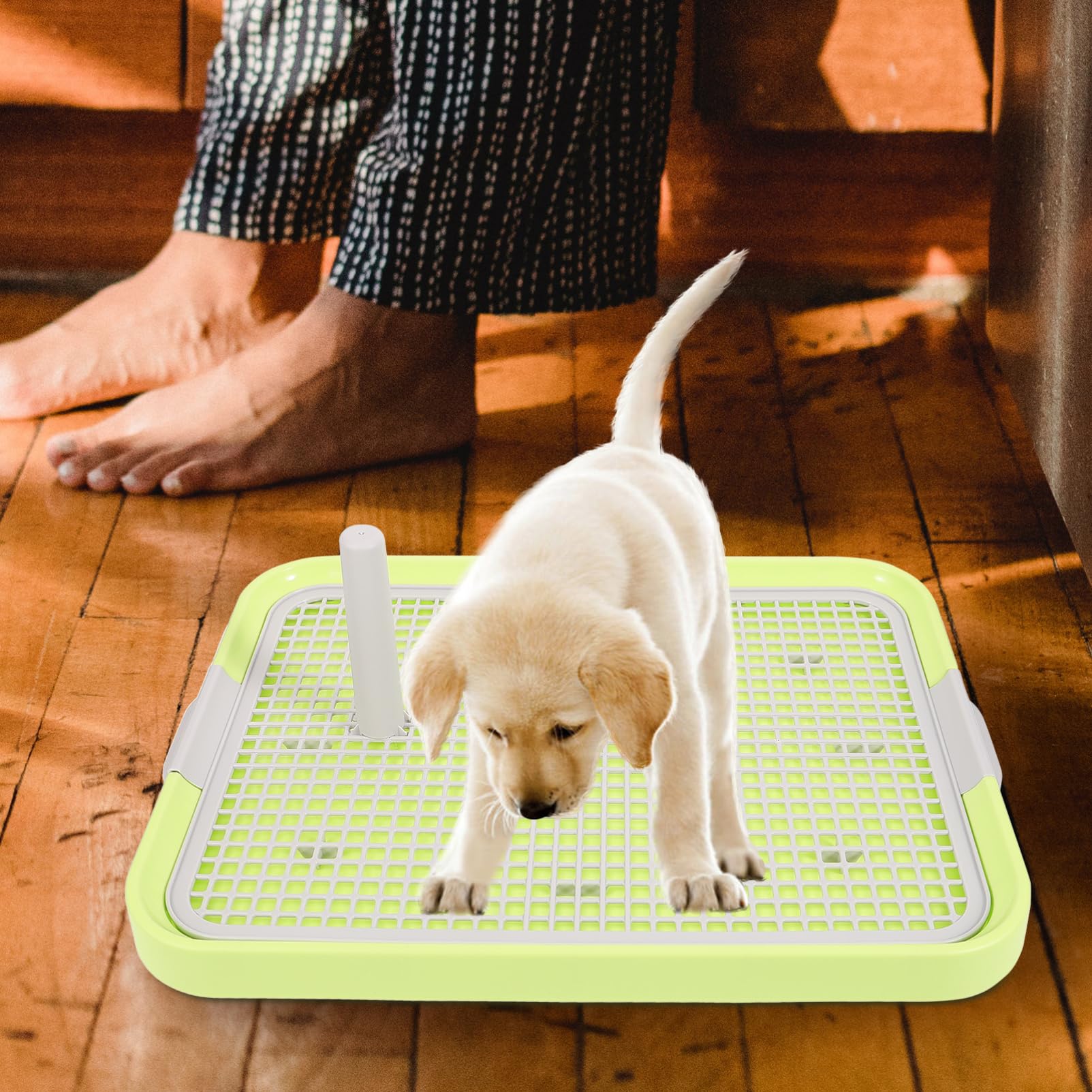 Toilette pour Chien Intérieur Antidérapante, Grille Détachable, Plastique