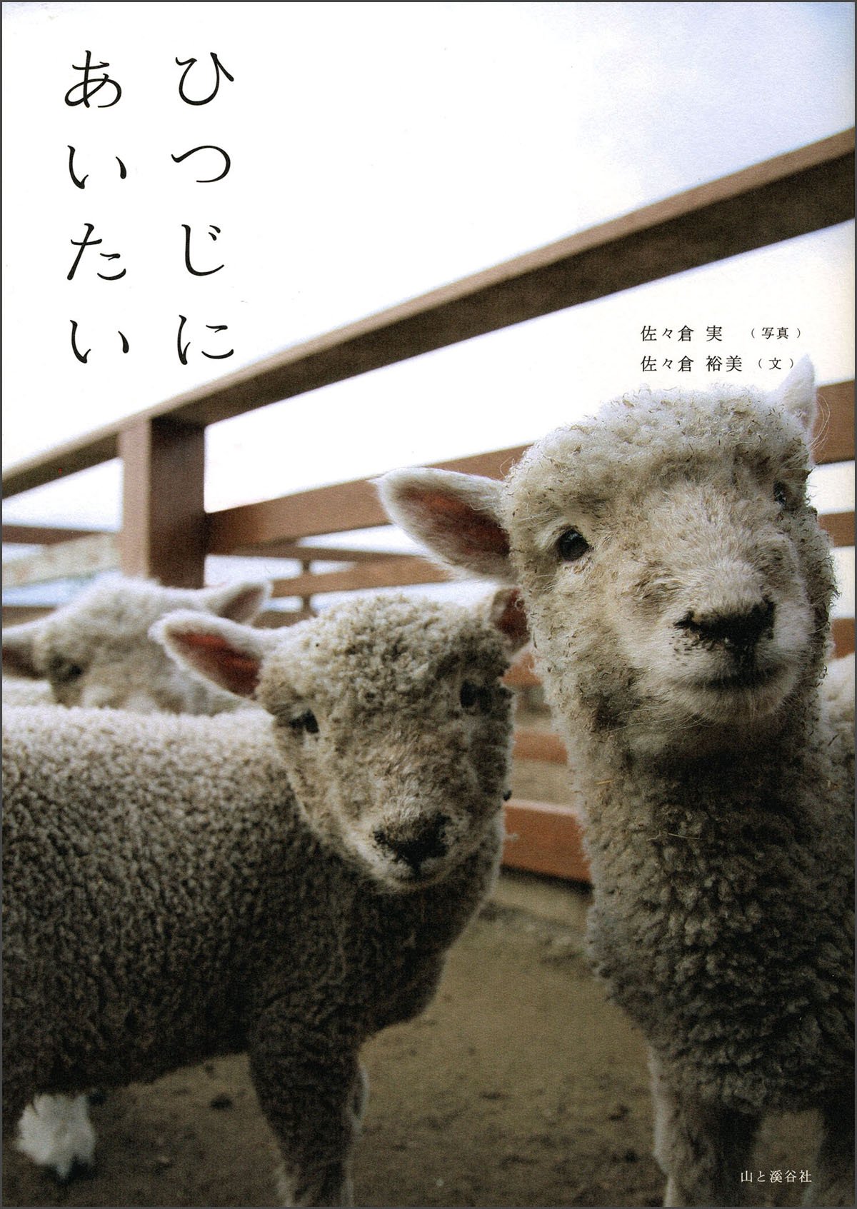 Amazon.co.jp: ひつじにあいたい : 写真=佐々倉実 文=佐々倉裕美: 本