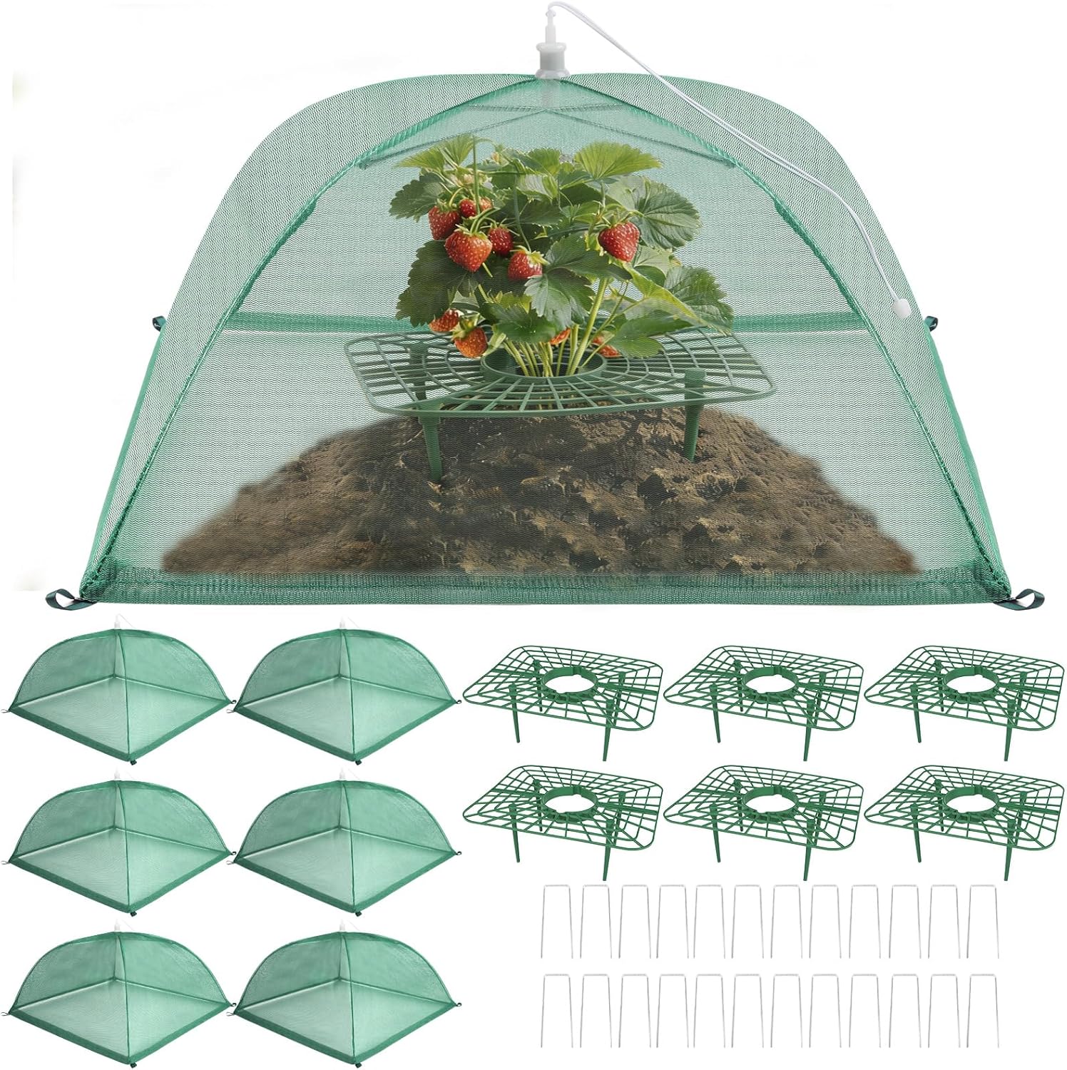 6 Sets Strawberry Plant Support with Mesh Plant Cover, Strawberry Growing Rack Kit with 24 Iron Plant Nails for Garden, Strawberry Growing Frame with Protective Net for Strawberries Tomatoes Veggies