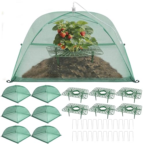 6 Sets Strawberry Plant Support with Mesh Plant Cover, Strawberry