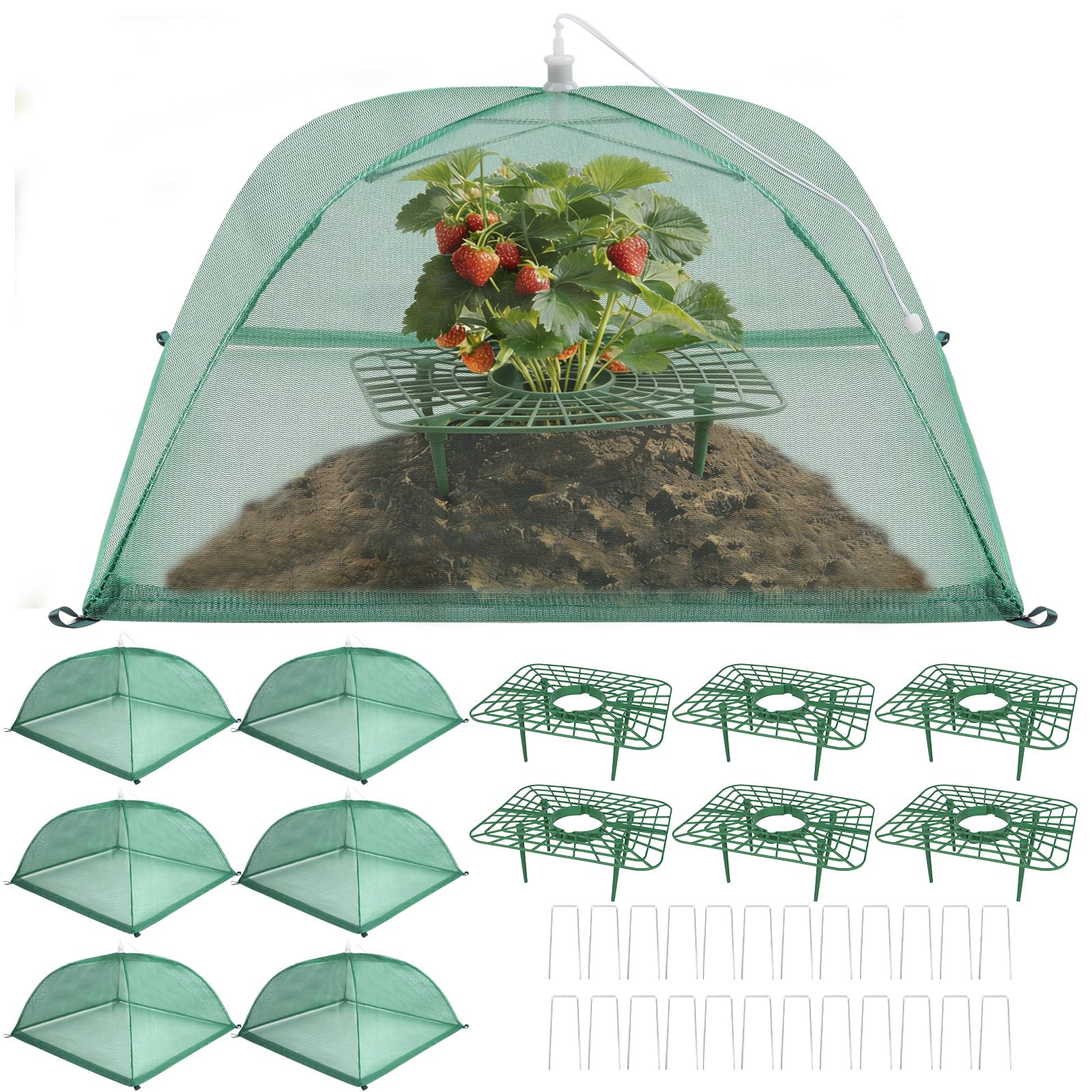 Photo 1 of 6 Sets Strawberry Plant Support with Mesh Plant Cover, Strawberry Growing Rack Kit with 24 Iron Plant Nails for Garden, Strawberry Growing Frame with Protective Net for Strawberries Tomatoes Veggies