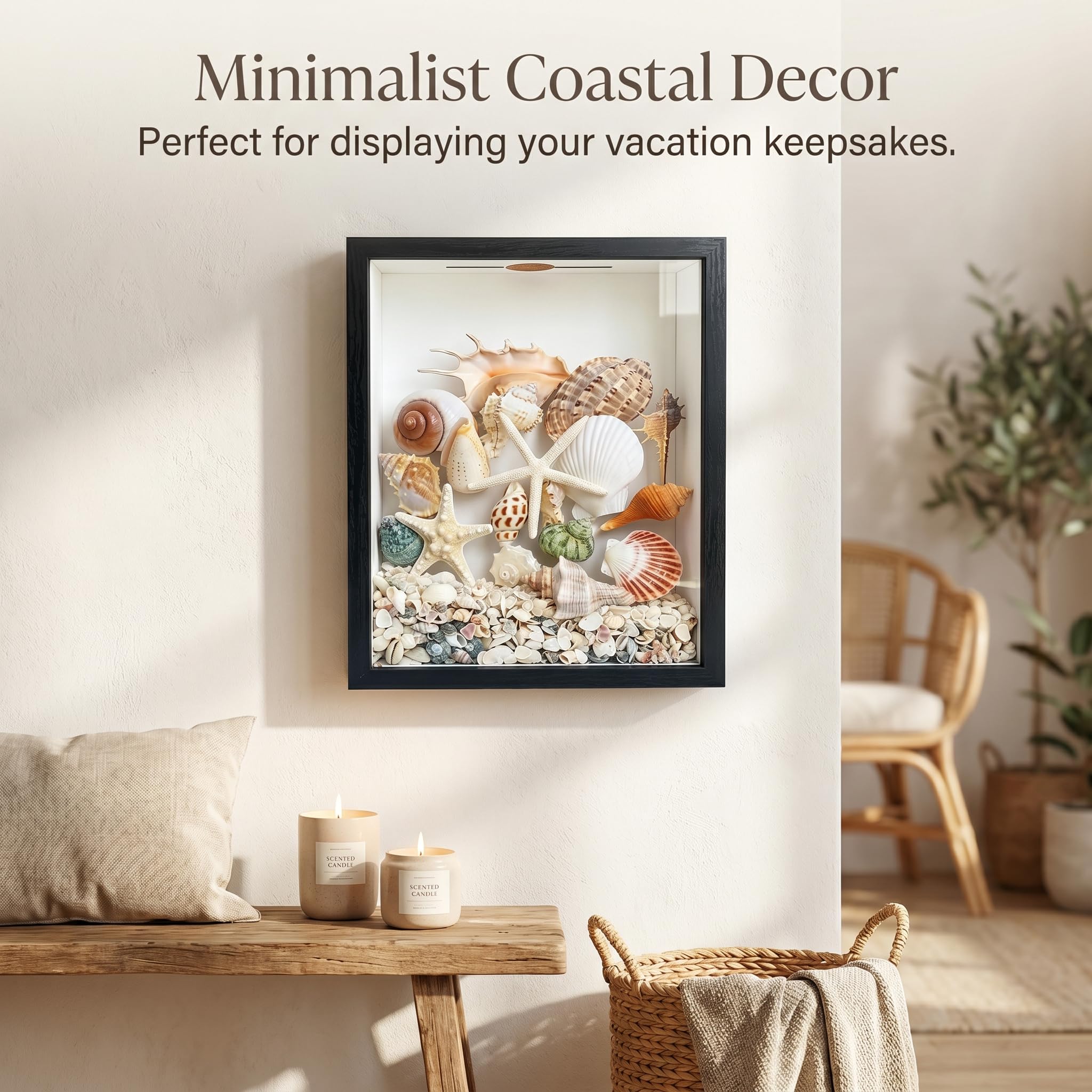 Scatola dell'ombra con fessura sulla parte superiore, scatola di esposizione della conchiglia, scatola di esposizione del supporto della conchiglia, scatola di esposizione della conchiglia, scatola di