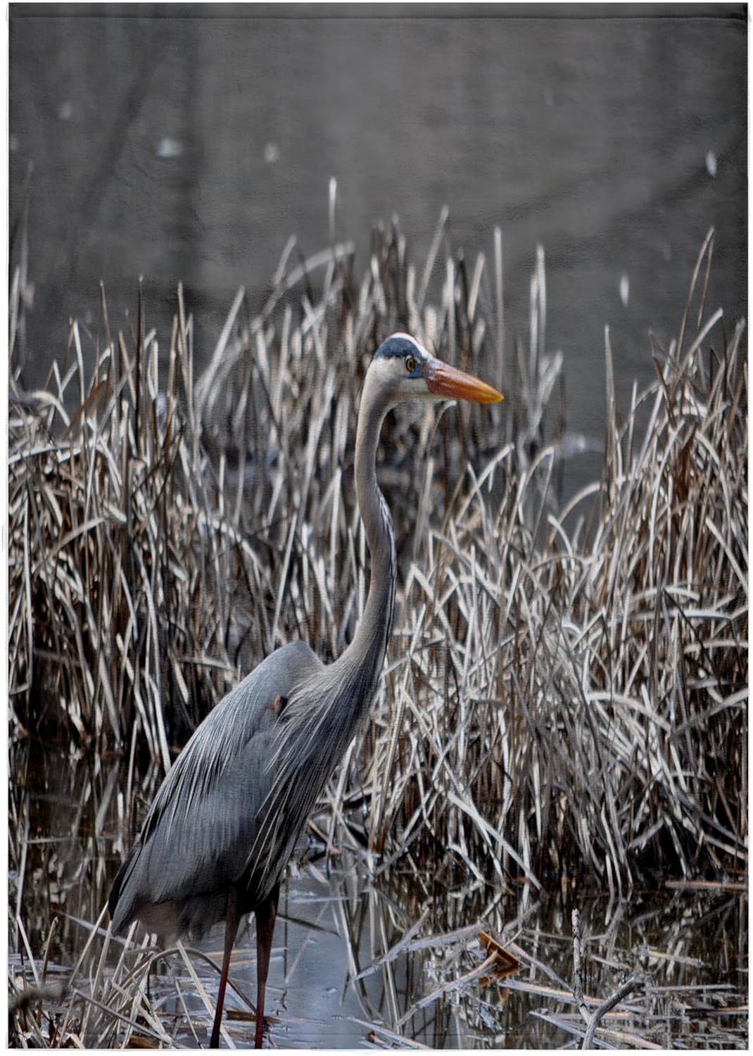 3dRose Blue Heron Fishing 22x30 Bath Hand Pool Towel