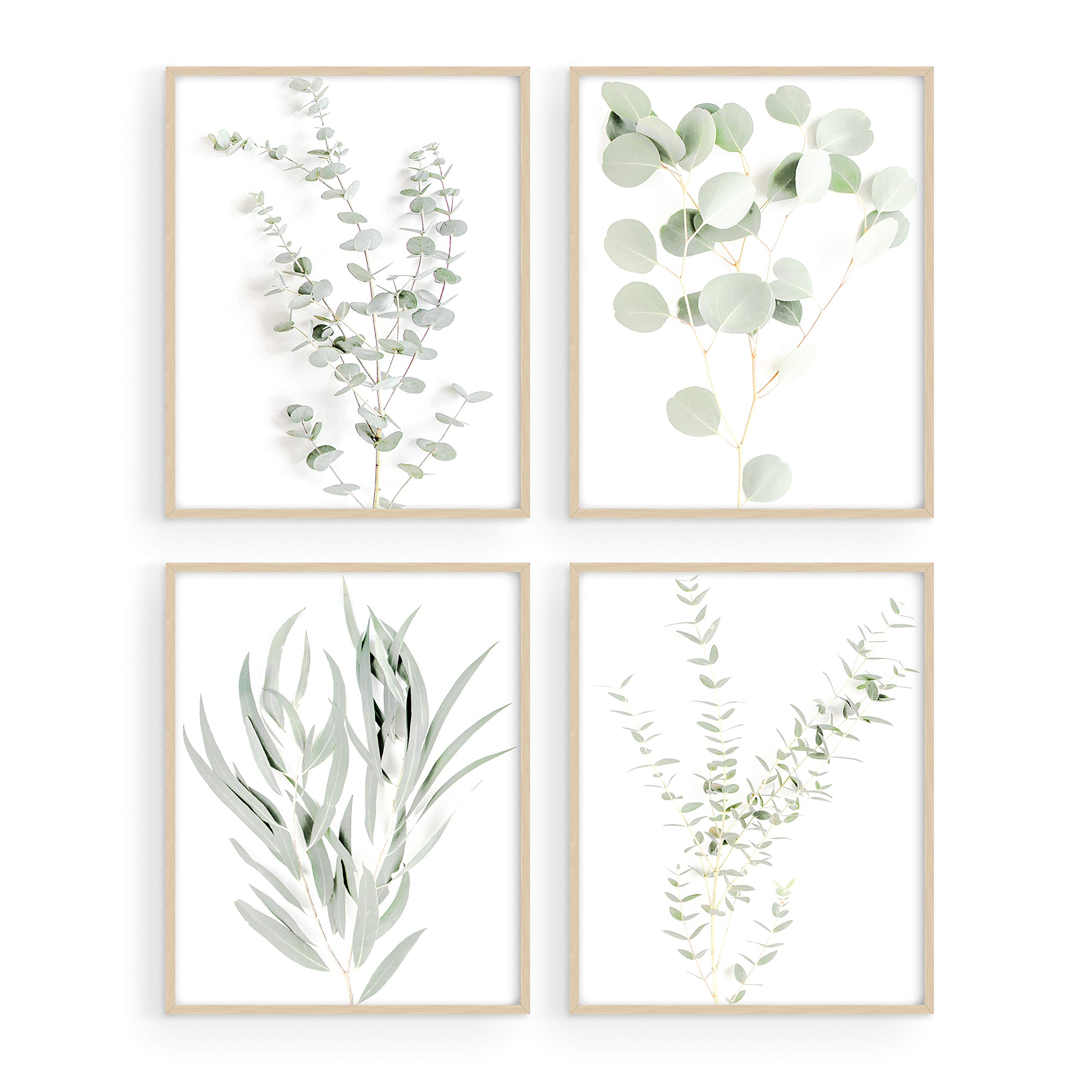 Buy Botanical Wall Art Prints Set of 4 Wall Decor Pictures Minimalist