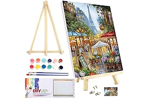 CYNART Paint by Numbers for Adults Paris Eiffel Tower City Street Scene...