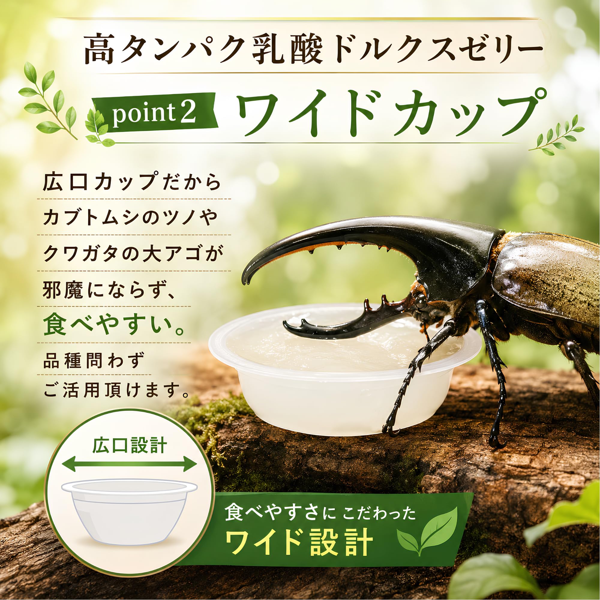 Amazon | フジコン 高タンパク乳酸ドルクスゼリー 昆虫ゼリー クワガタ