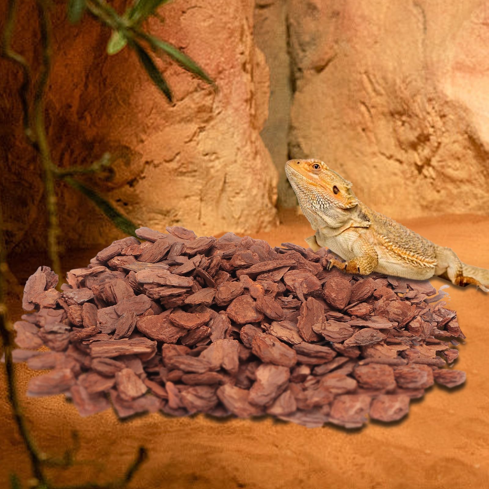 HERCHR Litière d'écorce de Reptile, litière en granulés d'écorce de pin substrat réutilisable en granulés de Bois pour Tortues élevage Propre pour Tortues lézards Geckos caméléons (S)