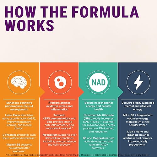 Miniatura 8 de LEGRANO Cápsulas de melena de león y suplemento NAD+ con ribósido de nicotinamida (NR), L-teanina, magnesio, zinc, vitamina B6 y cúrcuma - Fórmula