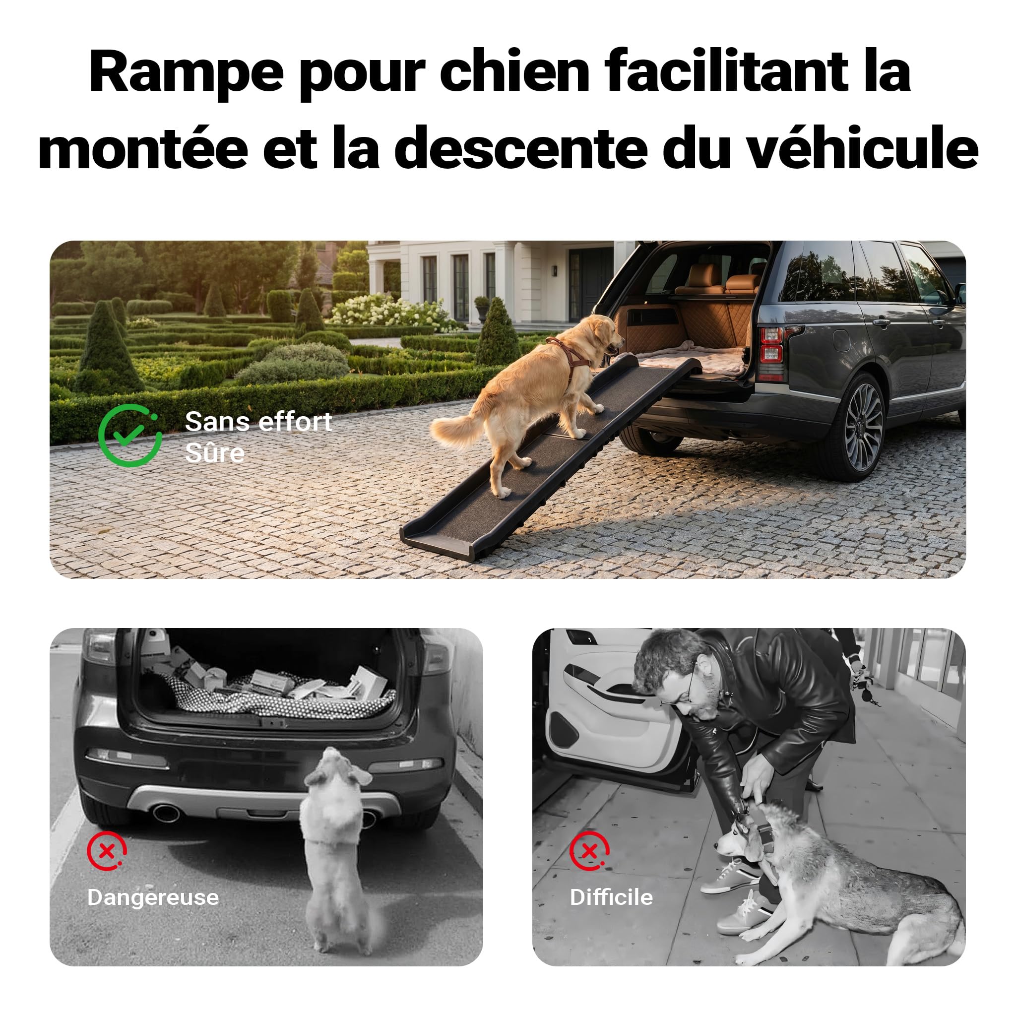 Wiltec Rampe pour Chien 155 x 40 cm, 90 kg, Pliable, Surface antidérapante à Picots, Rampe antidérapante pour Chiens, Aide à l'accès Pliable en PP pour Voiture, SUV et Pick-up