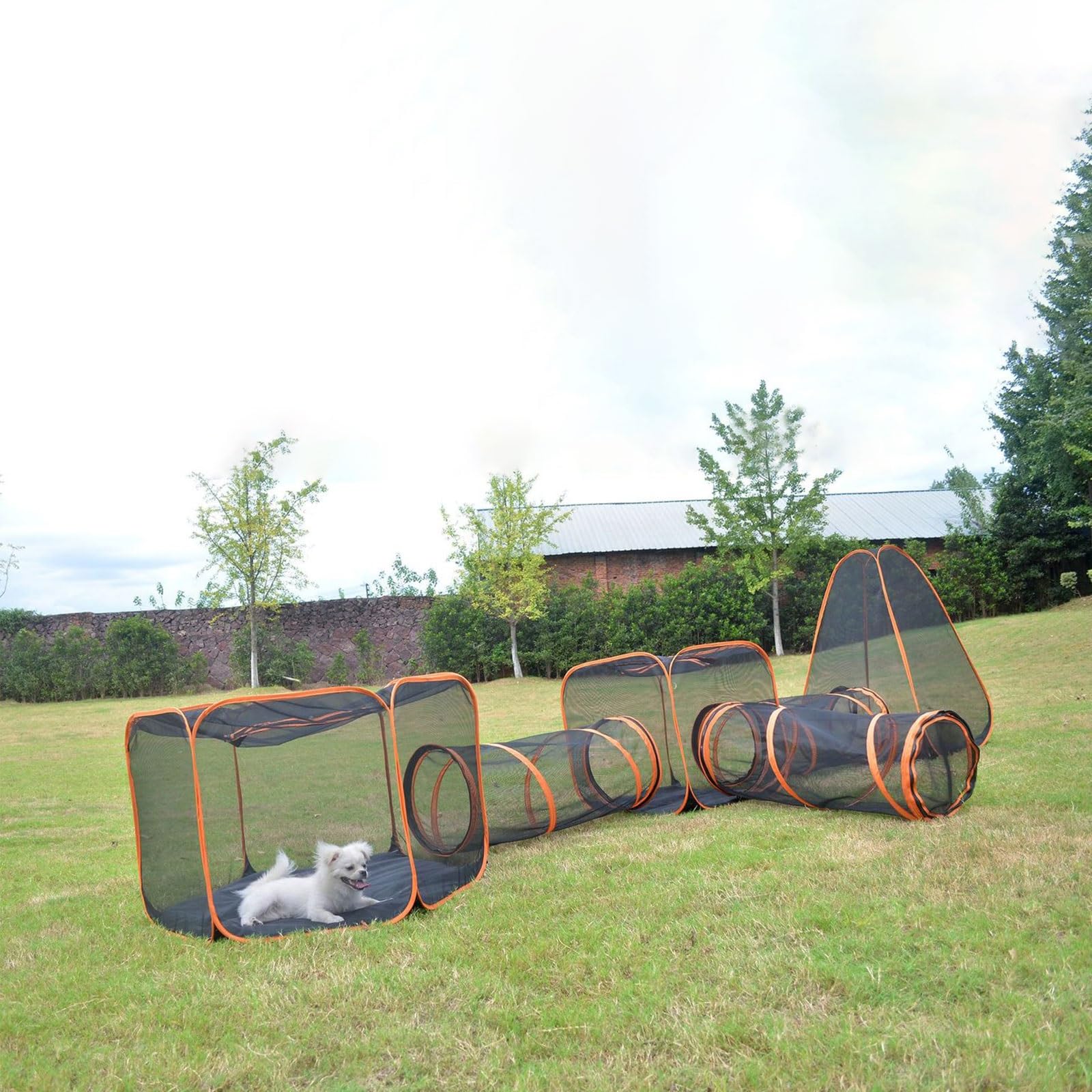 Katzen Gehege Mit Tunnel - Faltbarer Laufstall Für Indoor & Outdoor