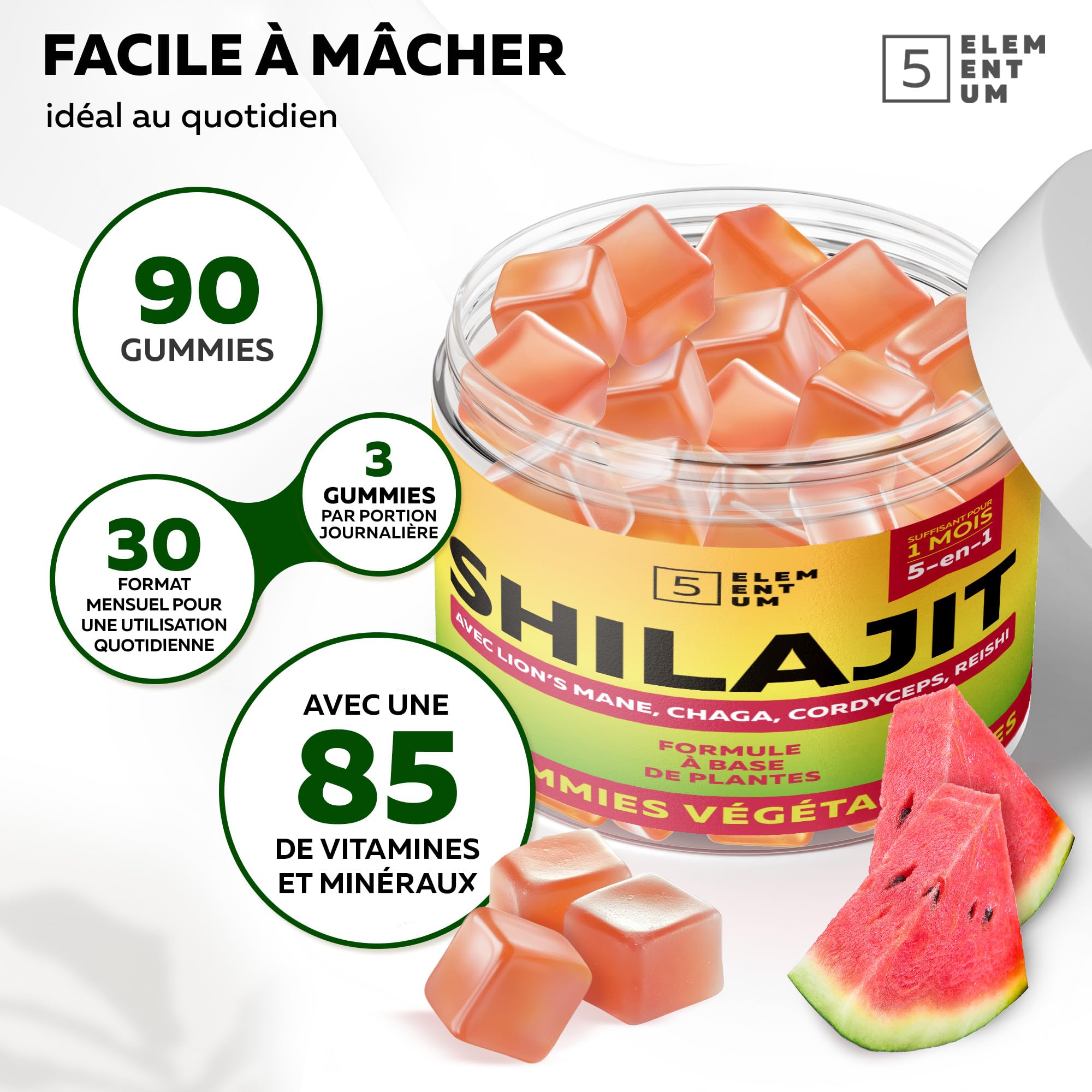 Shilajit Gummies Pure Himalaya – 90 Gommes au Goût Pastèque – 2200 mg avec Reishi, Crinière de Lion, Chaga & Cordyceps – Sans Sucre, Vegan, Naturelles – Shilajit Original du Tibet
