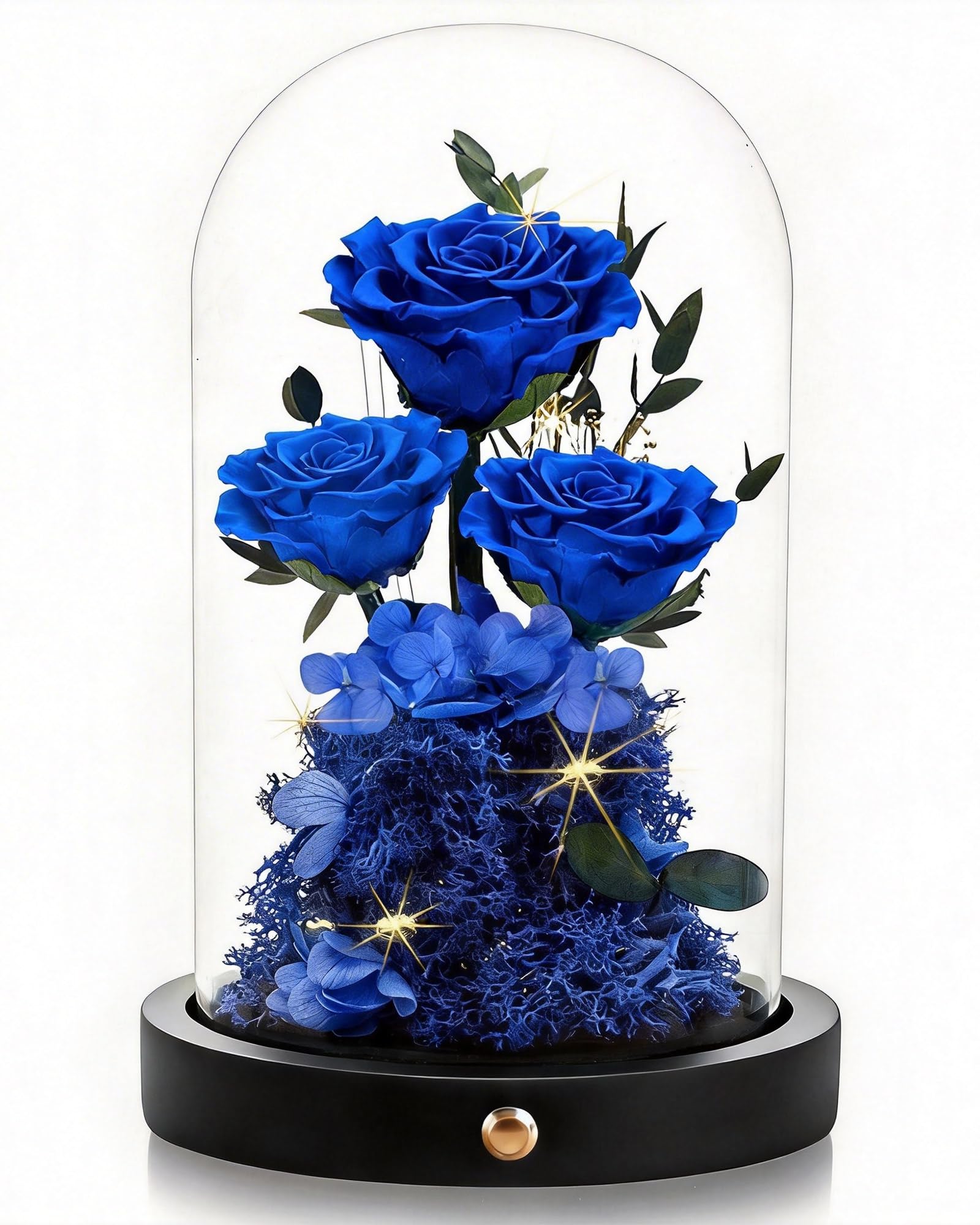 Agrul Preserved Rose Glass Dome