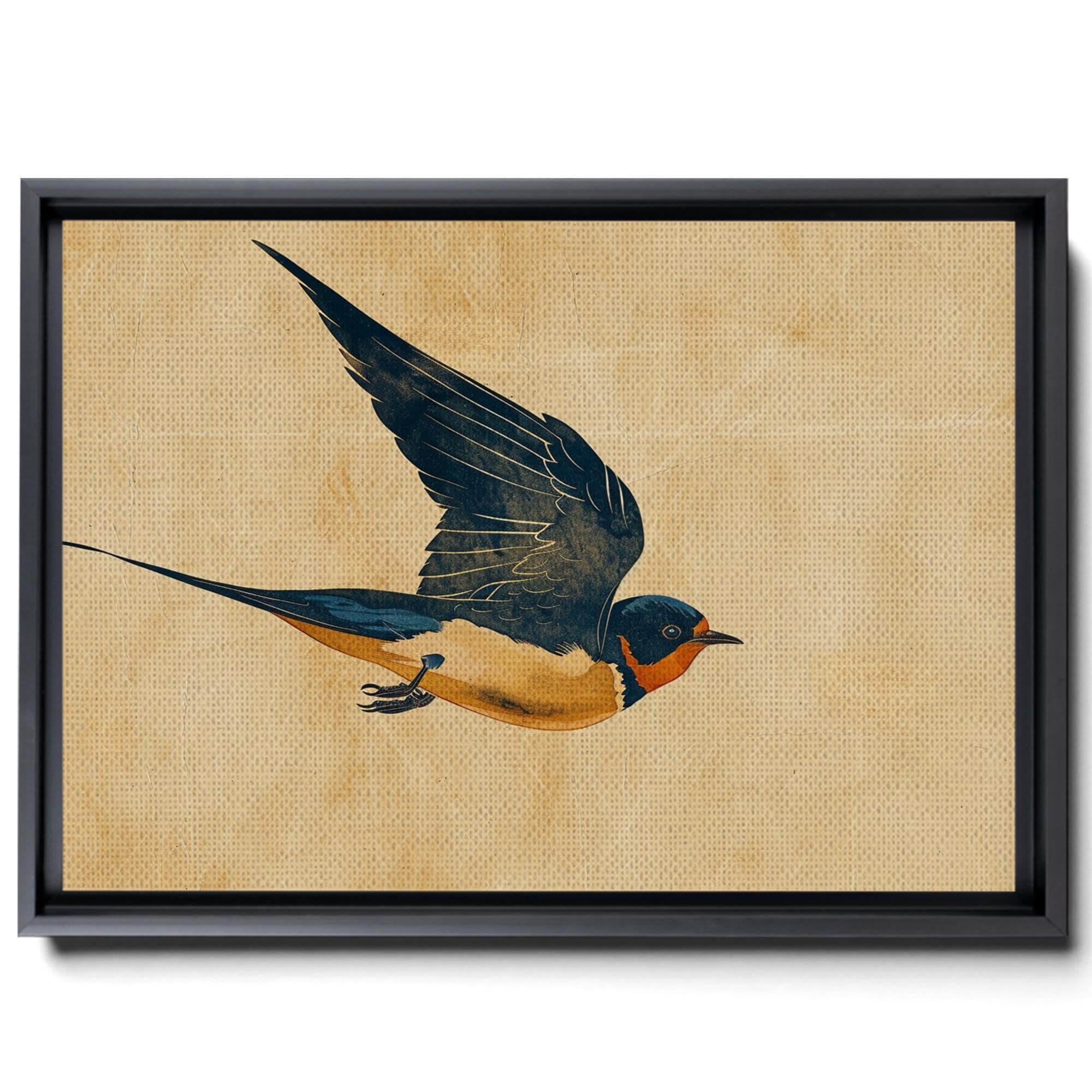Amazon.com: SUDDENSUPPLY Vintage Swallow Print, Swallow Painting