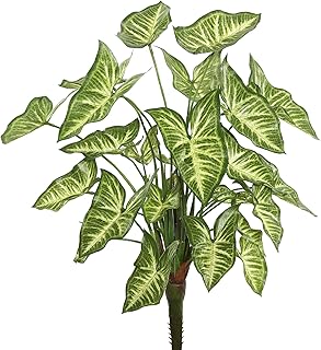 Vickerman Everyday 22