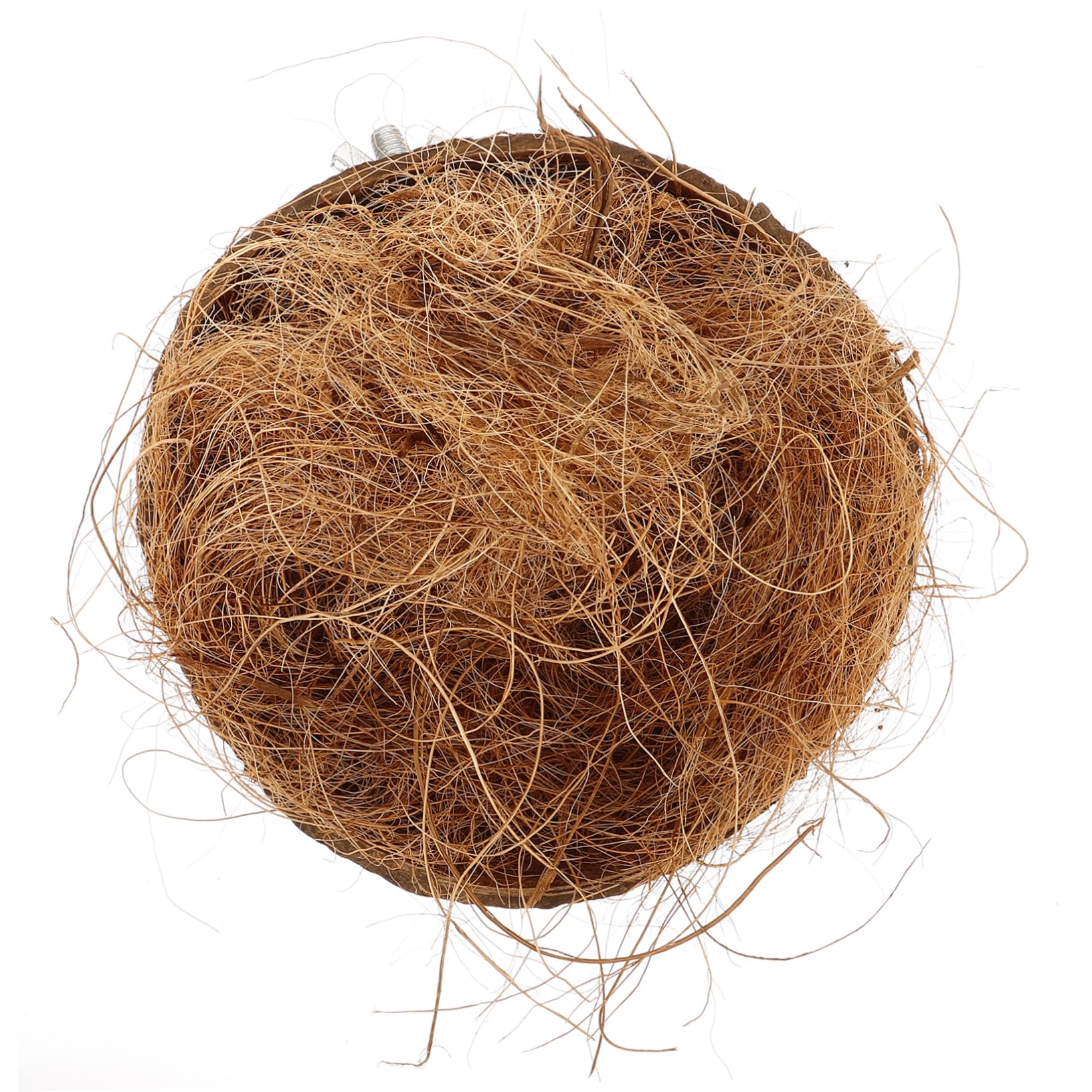 ibasenice 5 Pezzi Pappagalli Cocco Naturale Casa per Uccelli Resistente e Decorativa per Allevamento per Cocorite e Parrocchetti per Allenare Abilità Nidificazione e Creare Un Stimolante per