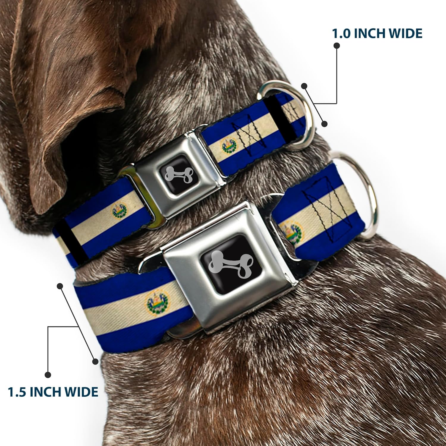 Dog Collar Seatbelt Buckle El Salvador Flag Black 18 to 32 Inches 1.5 Inch Wide