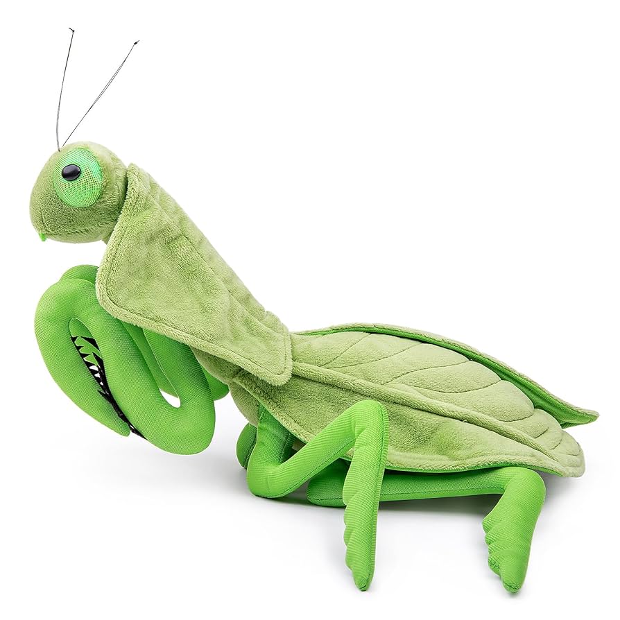 Amazon.co.jp: lilizzhoumax 葉の裏にあるカマキリのぬいぐるみ