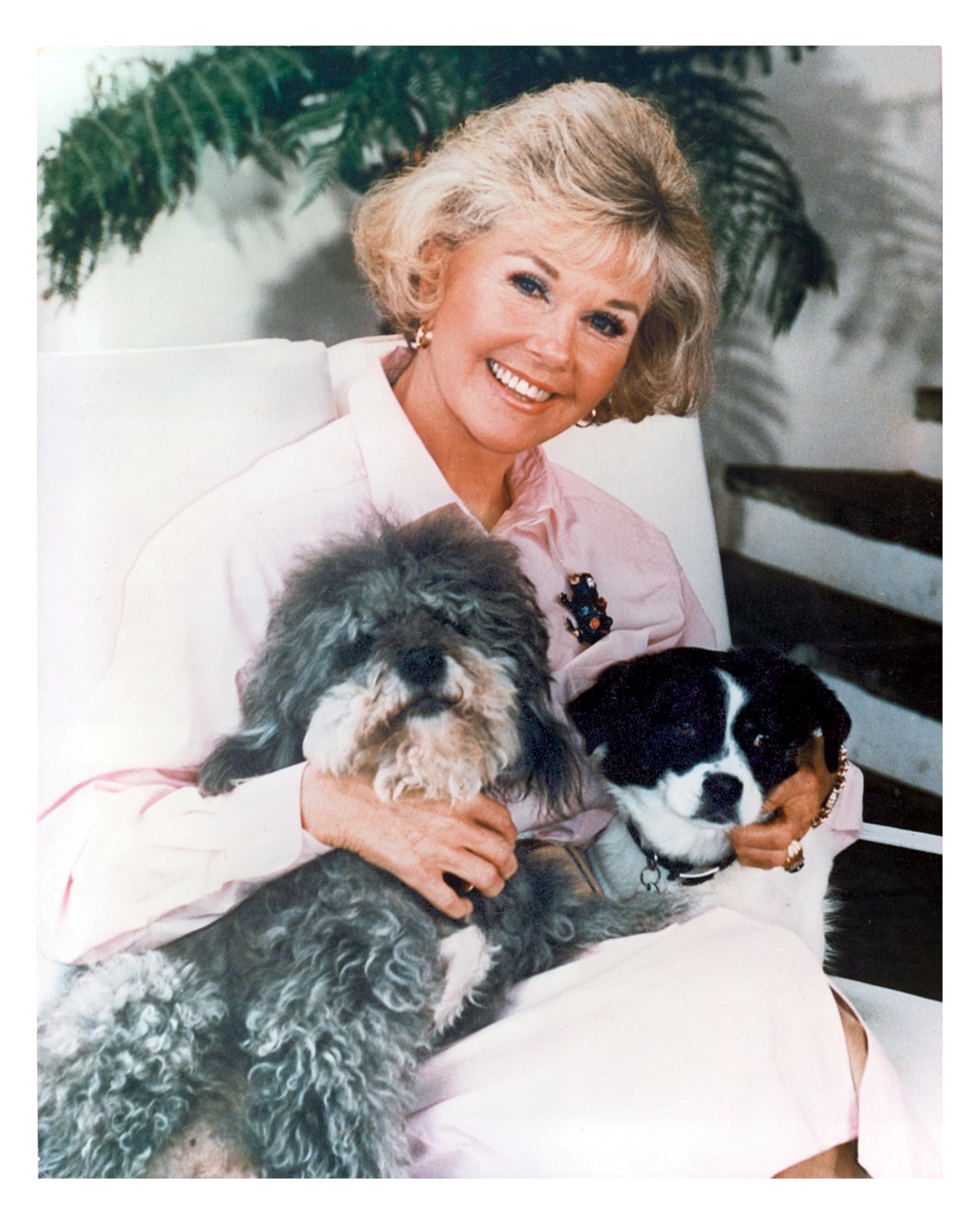 Doris Day
