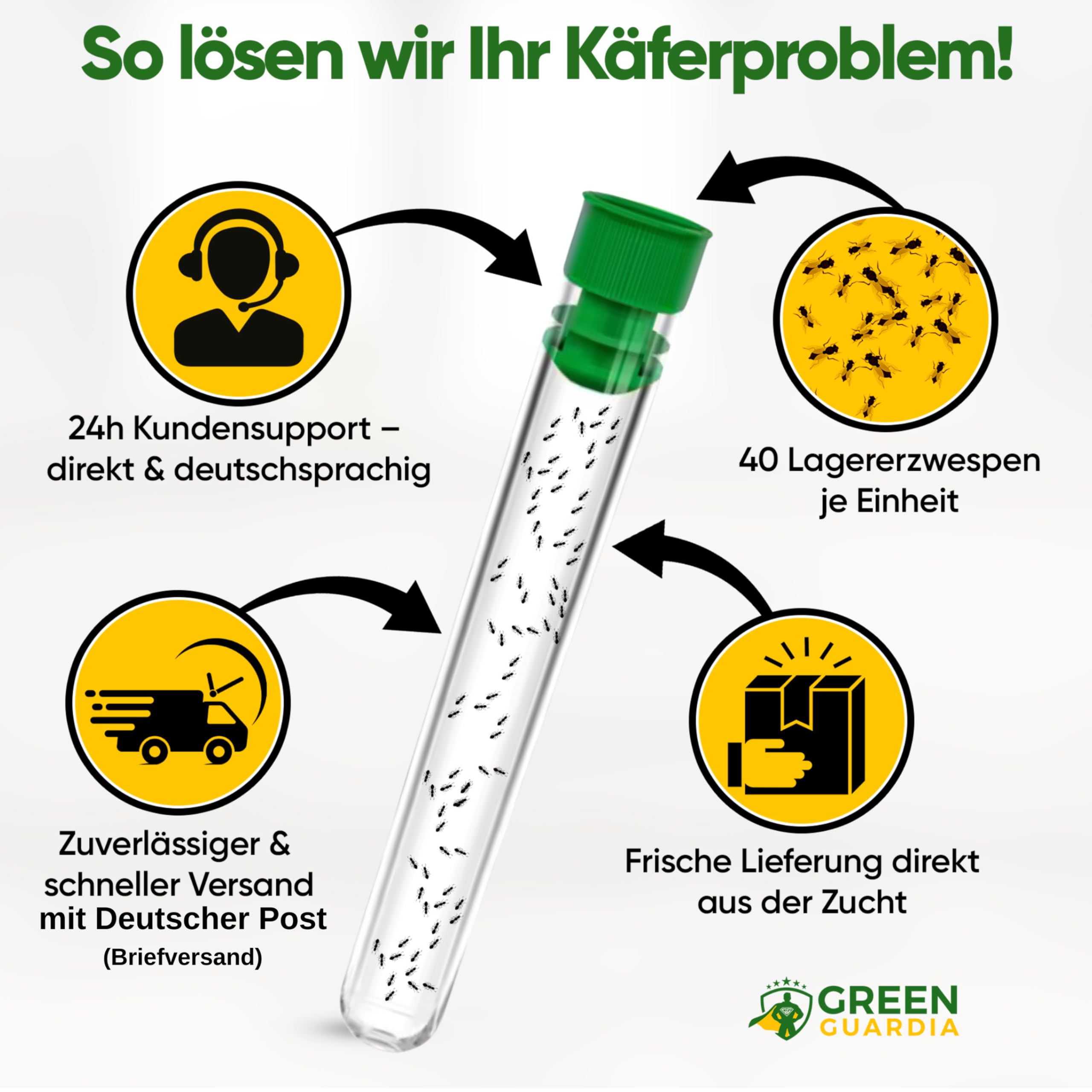 GREEN GUARDIA Lagererzwespen gegen Brotkäfer - 1 Röhrchen à 40 Nützlinge - effektiv Kornkäfer, Messingkäfer, Speckkäfer uvm. bekämpfen. Alternative zu Brotkäfer Falle und Kornkäfer Falle