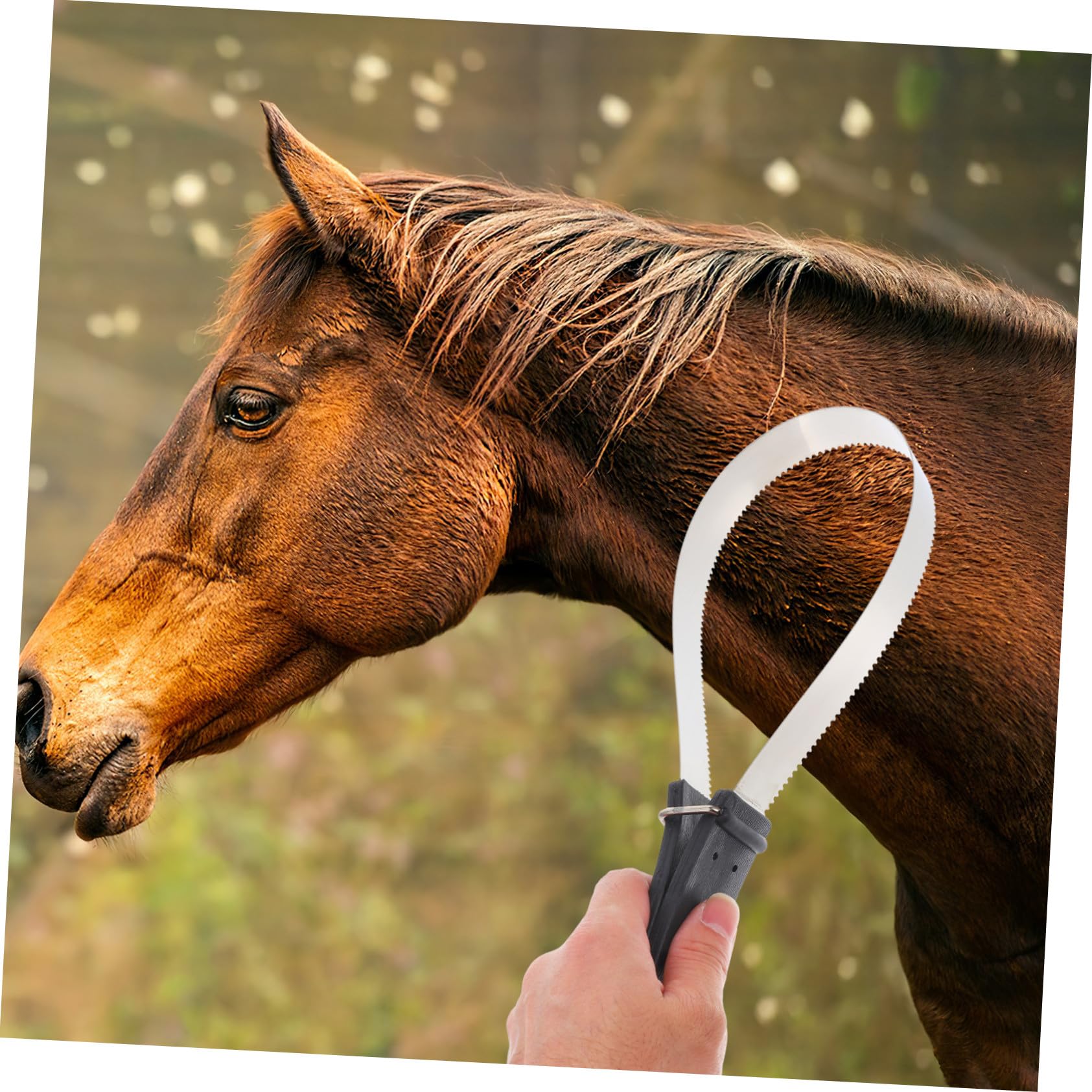 Cepillo de Pelo de Caballo con Raspador de Acero Inoxidable 11.81x3.74x0.59 Pulgadas