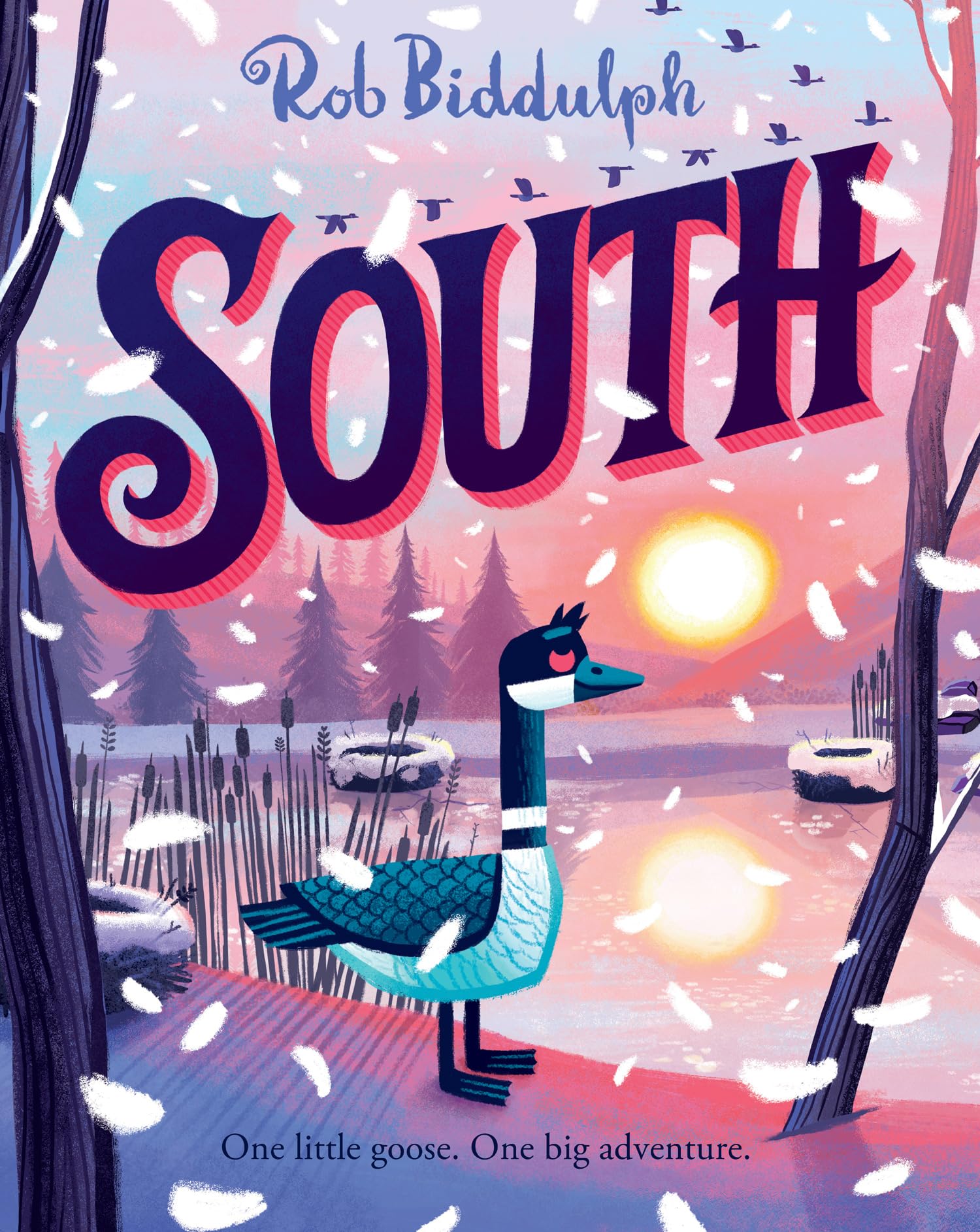 SOUTH: Brand new hardback for 2026 from Rob Biddulph, perfect for readers aged 3+
