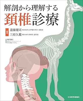 81I1gZleeHL._AC_UF350,