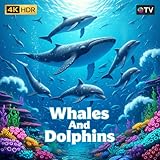 Relaxscreenhub TV