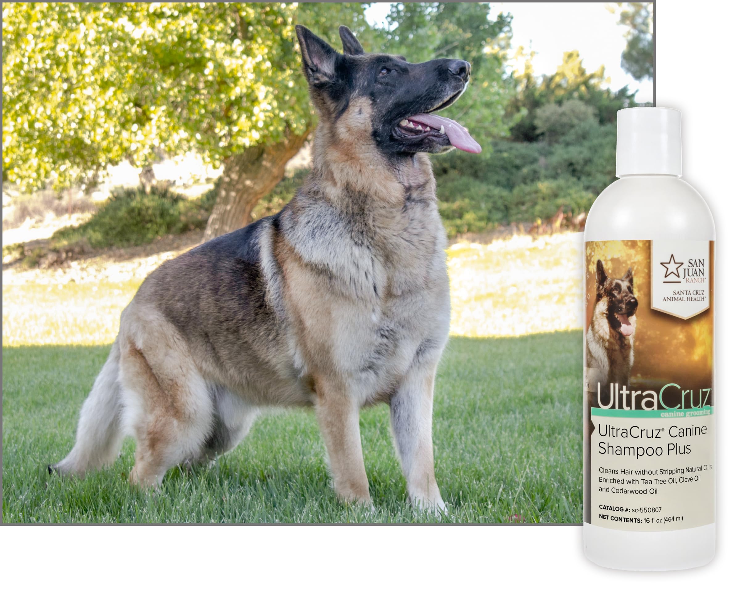 UltraCruz® Shampoo Canino Plus per cani, 1 gallone