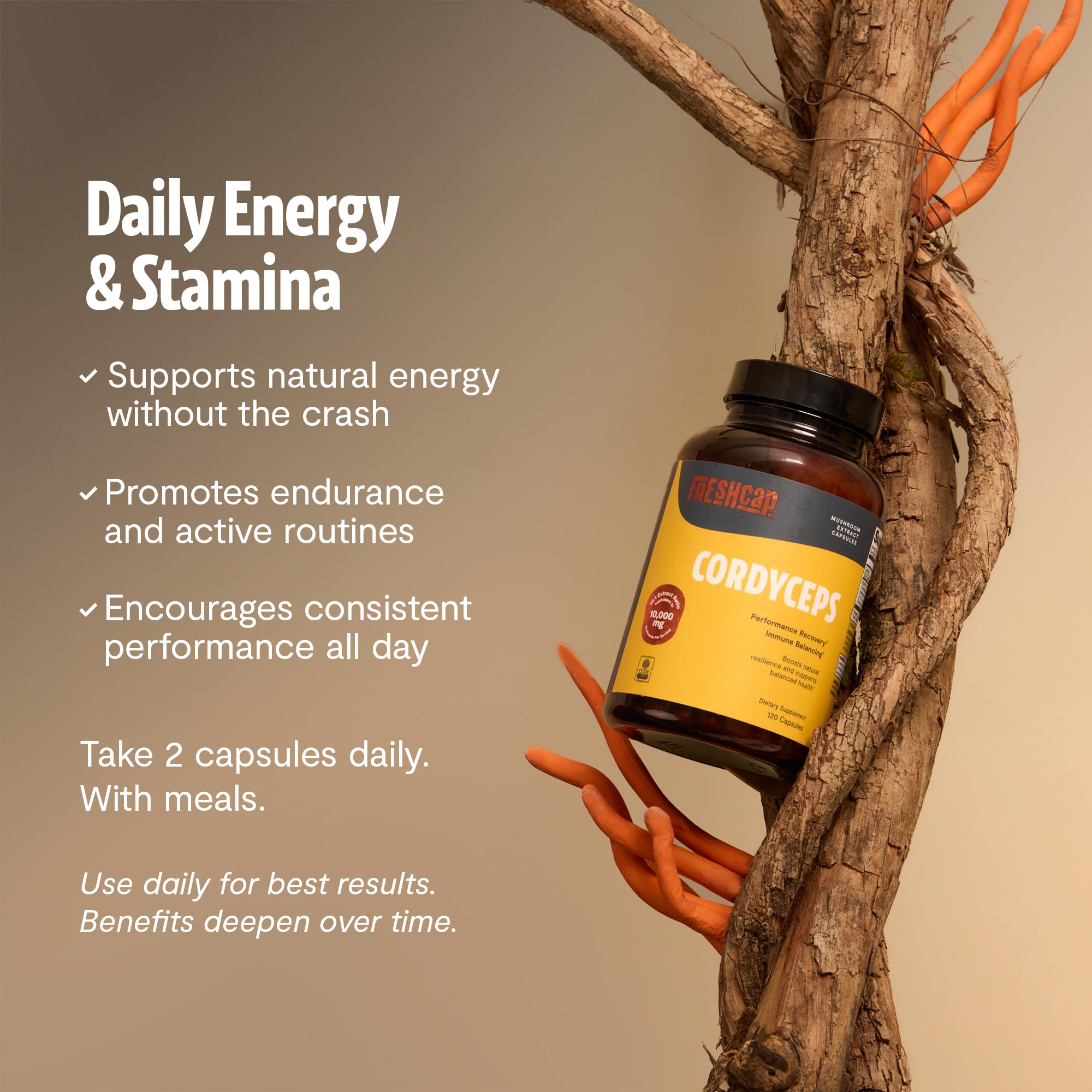 FreshCap Cordyceps Mushroom Capsules, USDA Organic,120 Capsules — Amazon image 4