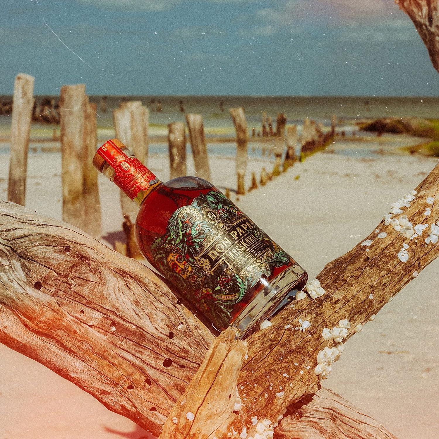 Don Papa Masskara gift