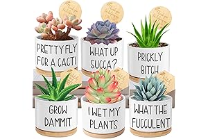 Funny Succulent Pots - Set of 6 Ceramic Planters with Drainage and Bamboo Tray