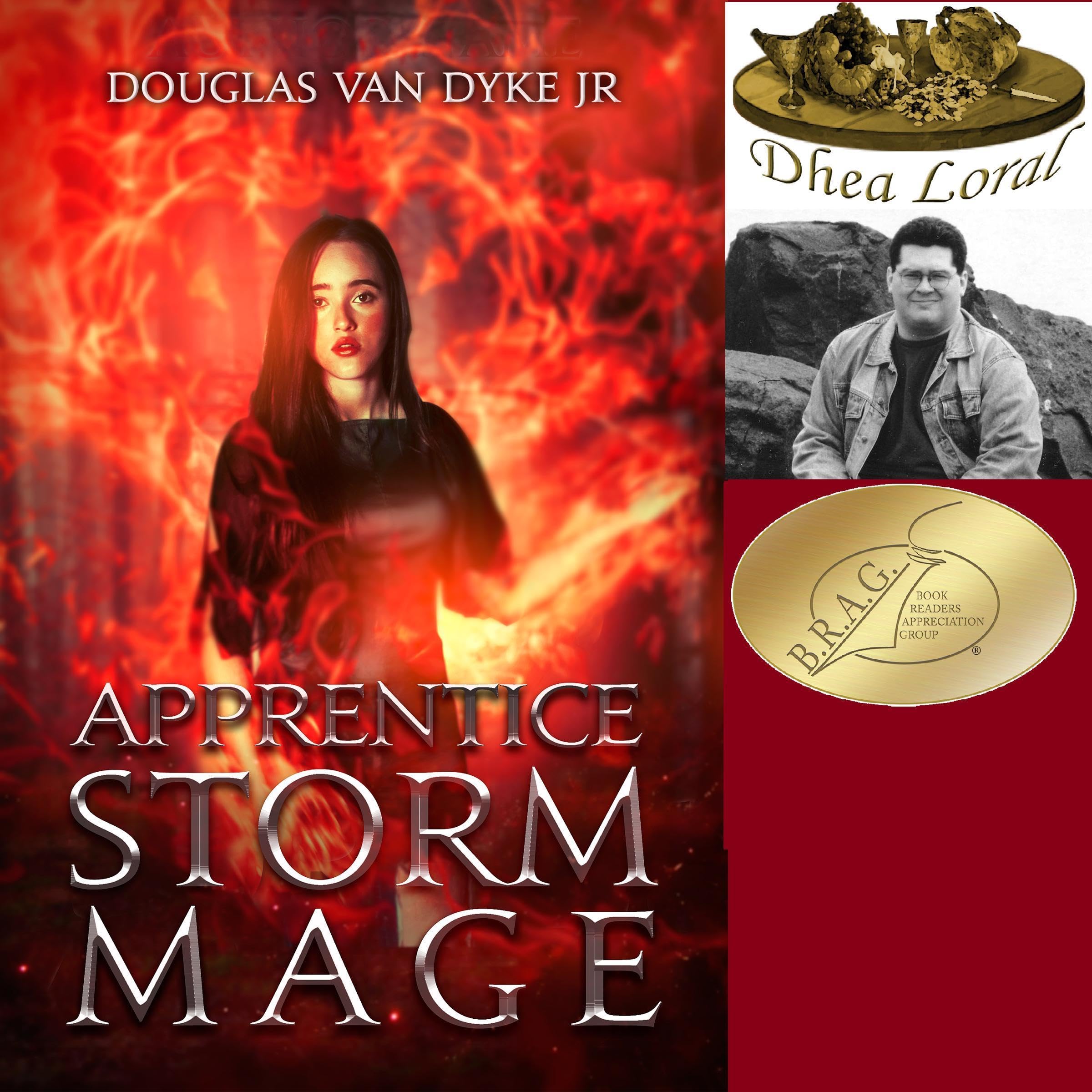 Cover art for Apprentice Storm Mage