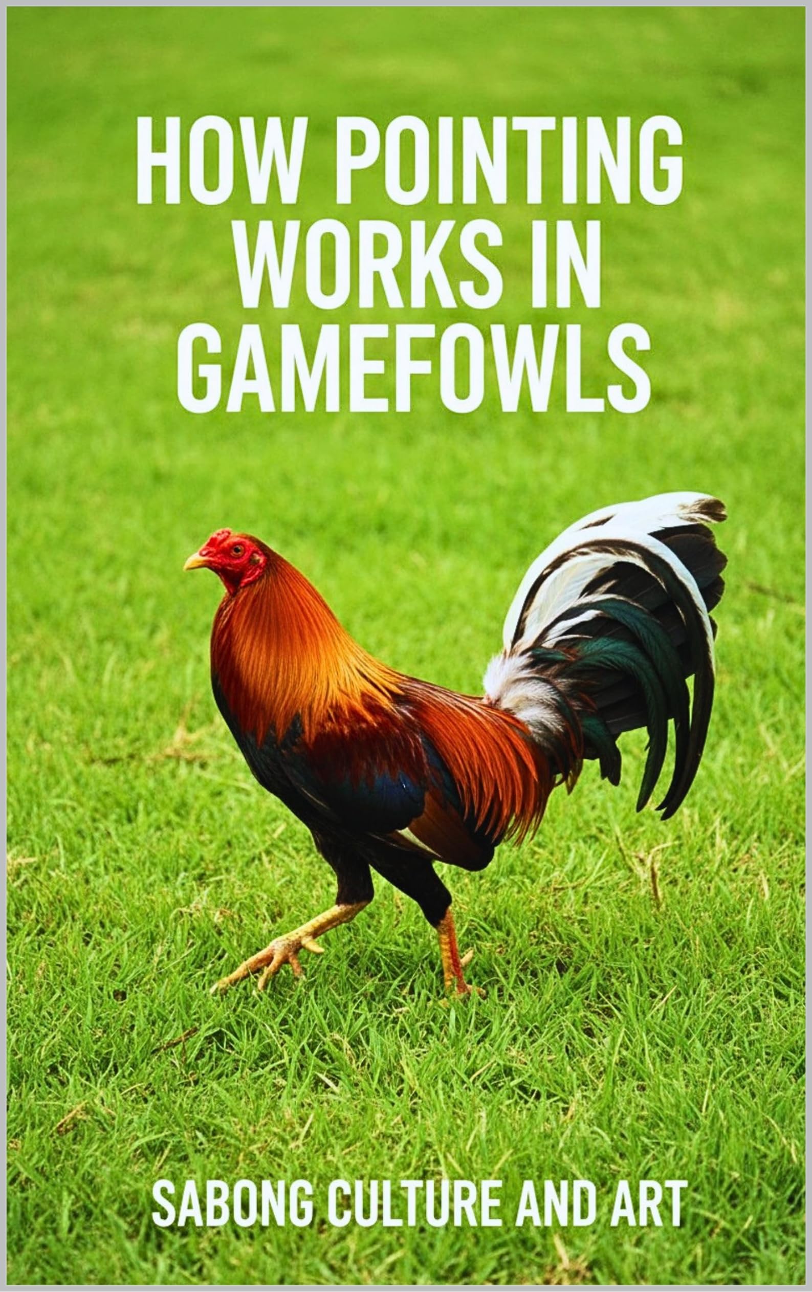 How Pointing Works in Gamefowls